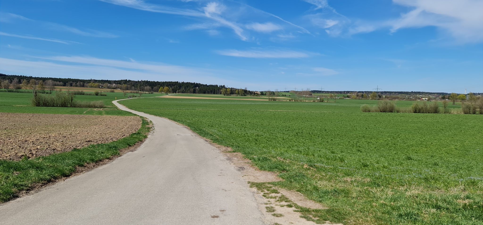 entlang dem Wege