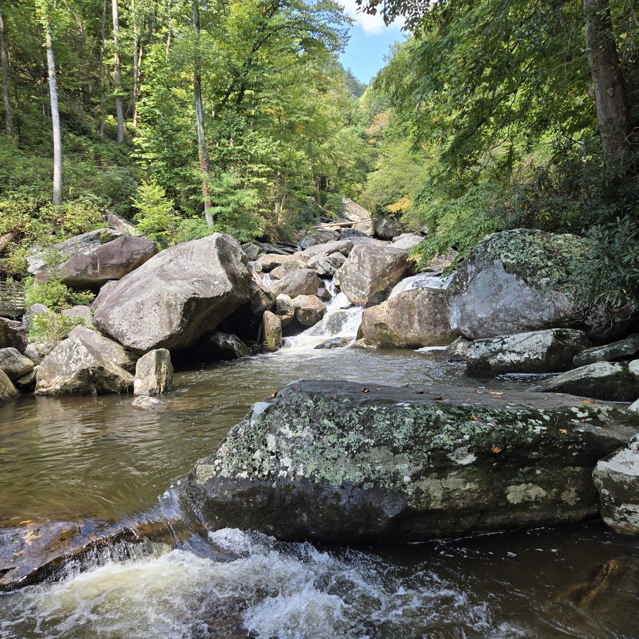 River flowing over mossy rocks and boulders, surrounded by lush green trees. - Whitewater Falls via Foothills Trail