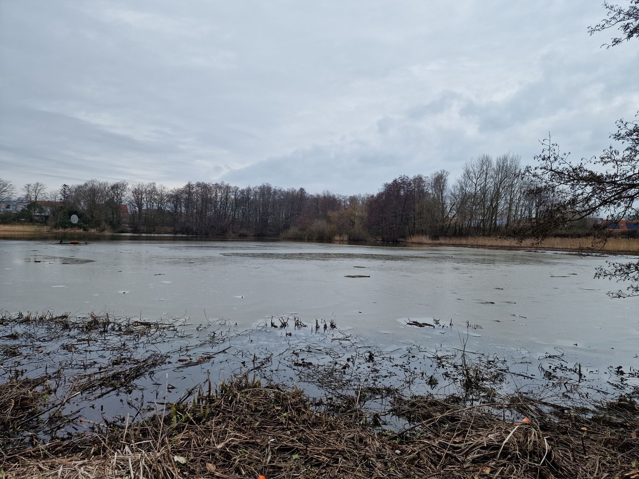 Mühlenteich,  Bredstedt