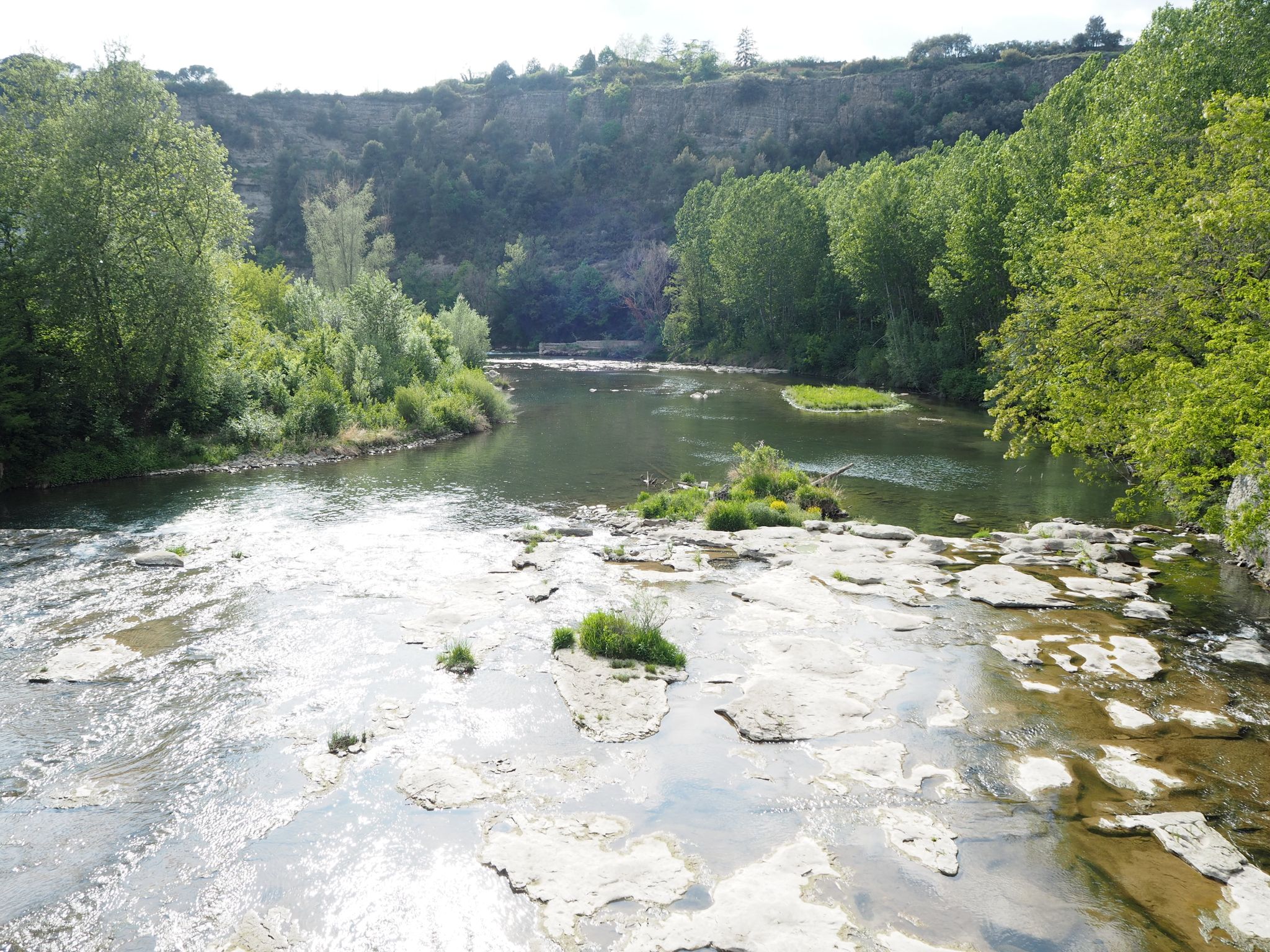 el Ter des del Pont del Pelut