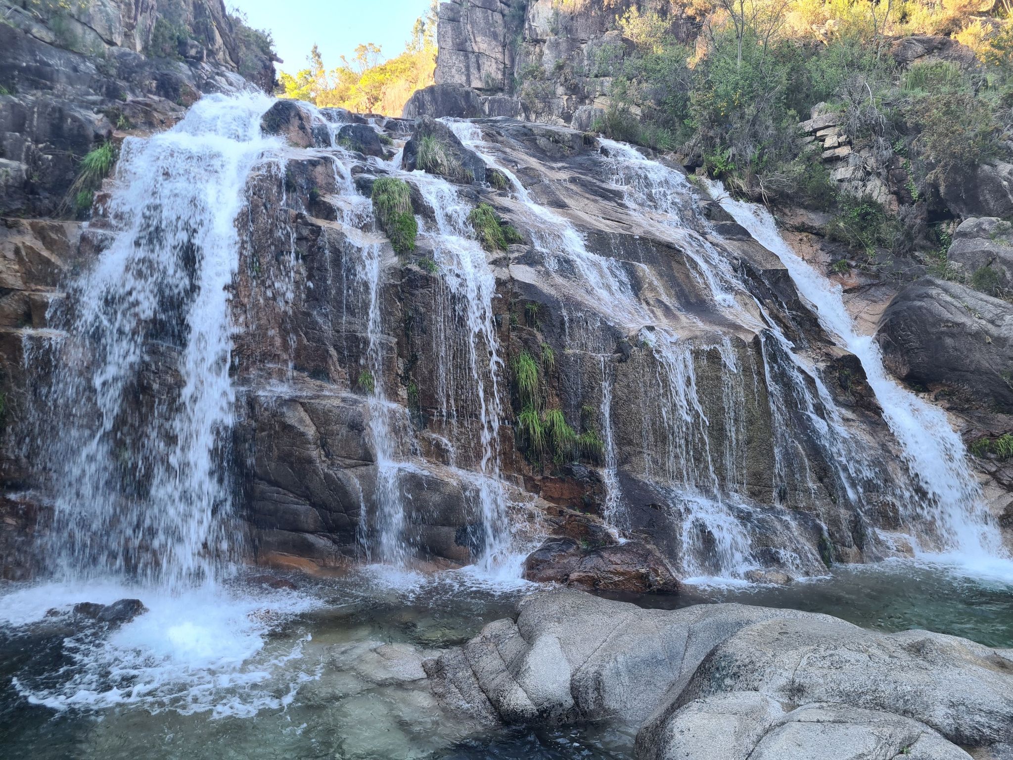 Cascada Cavalos