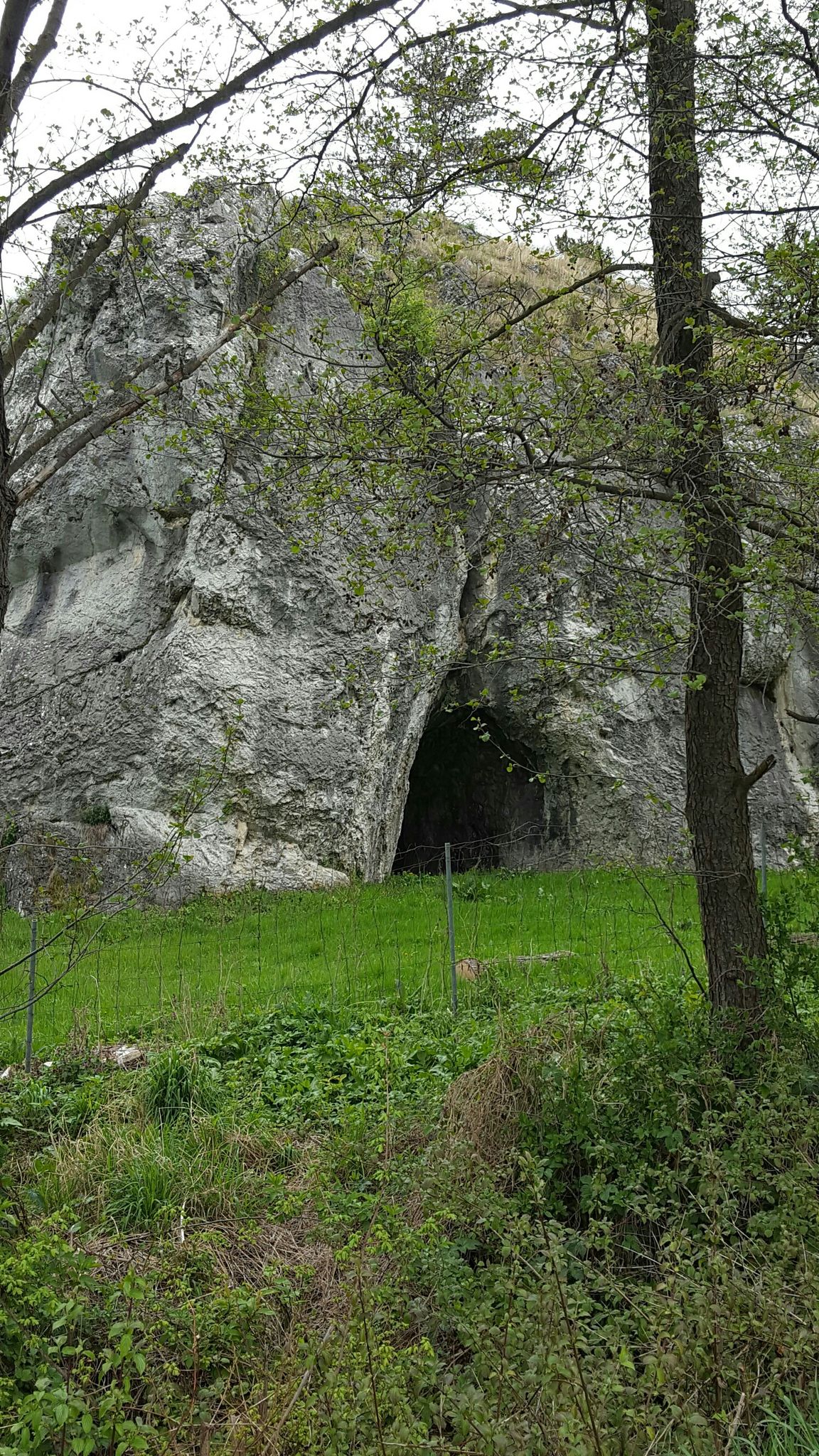 Dédestapolcsány cave 