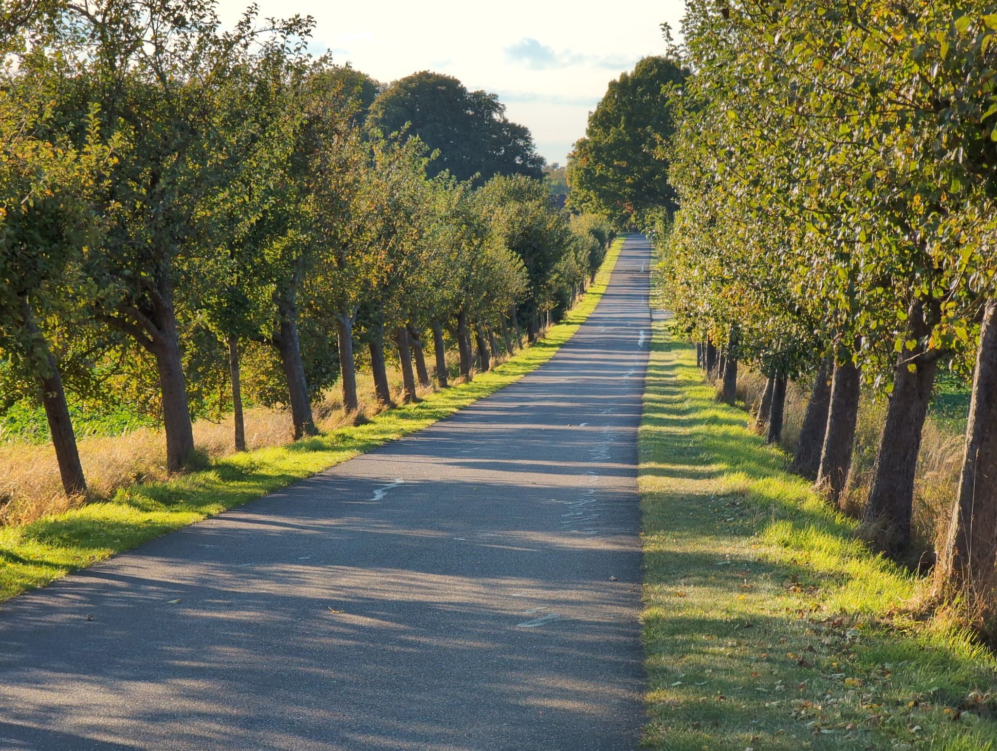 Allee nach Stubbendorf