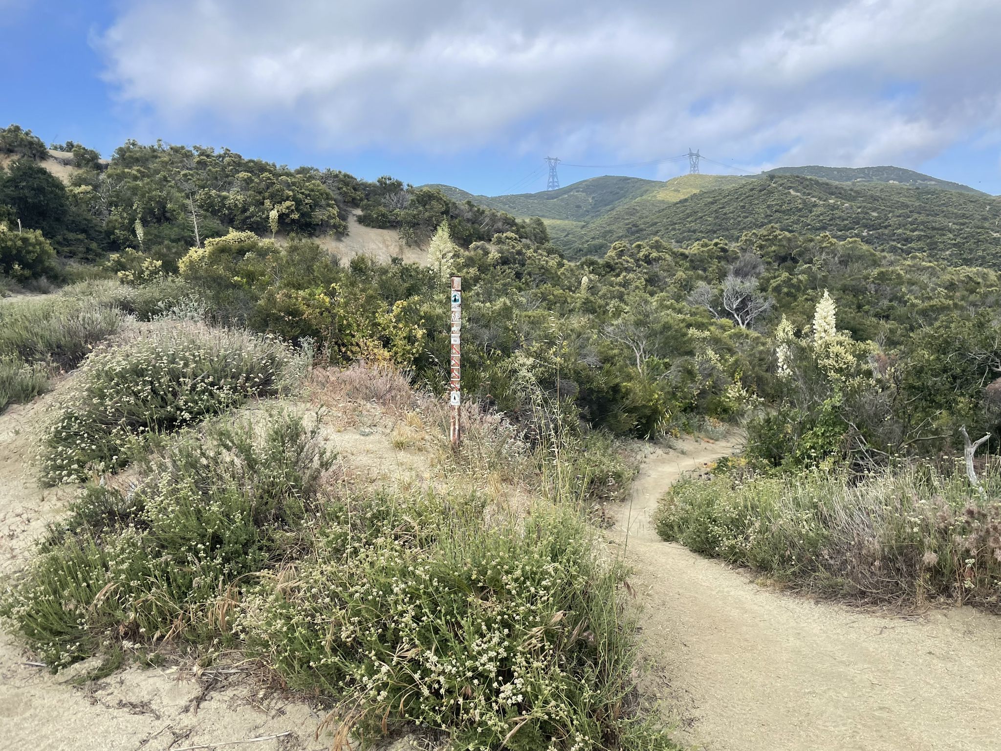 Dirt path forks in a sunny, brush-covered mountain landscape under clouds. - Pacific Crest Trail to Spunky Canyon