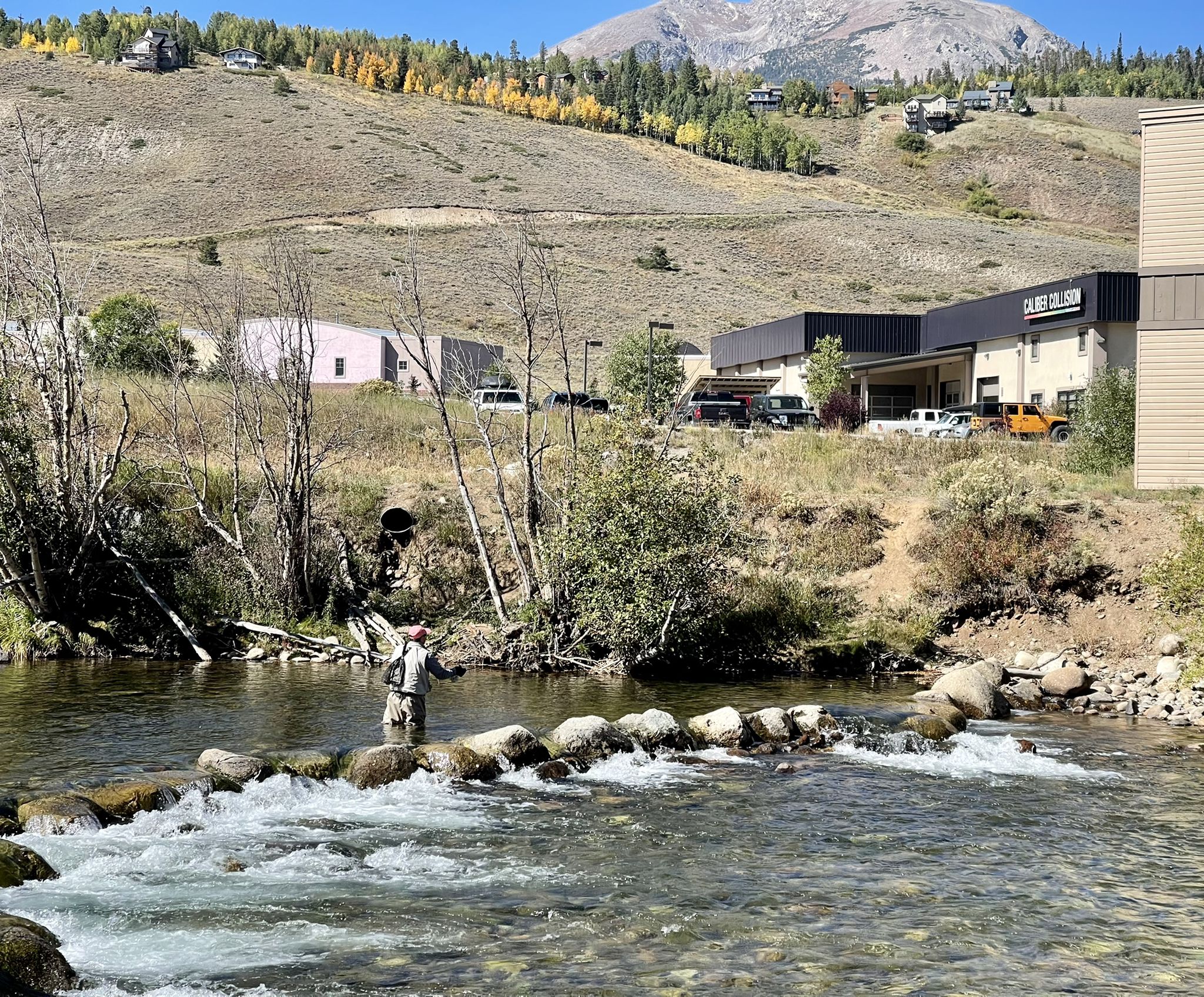 Person fly fishing in a shallow river with buildings and mountain backdrop. - Silverthorne Blue River Trail loop from Silverthorne