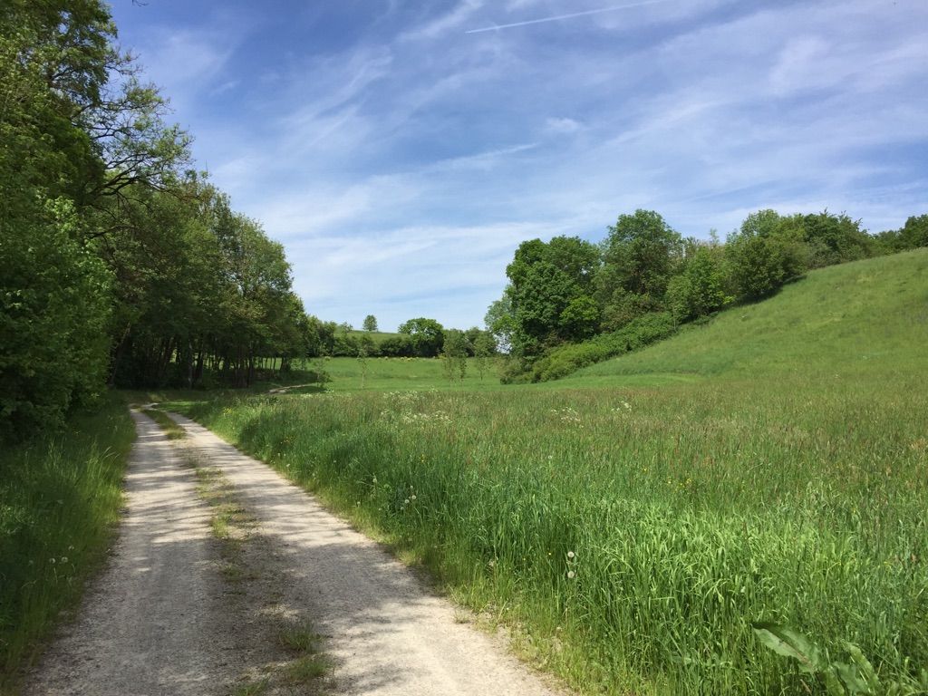 Im Gickelhäuser Tal