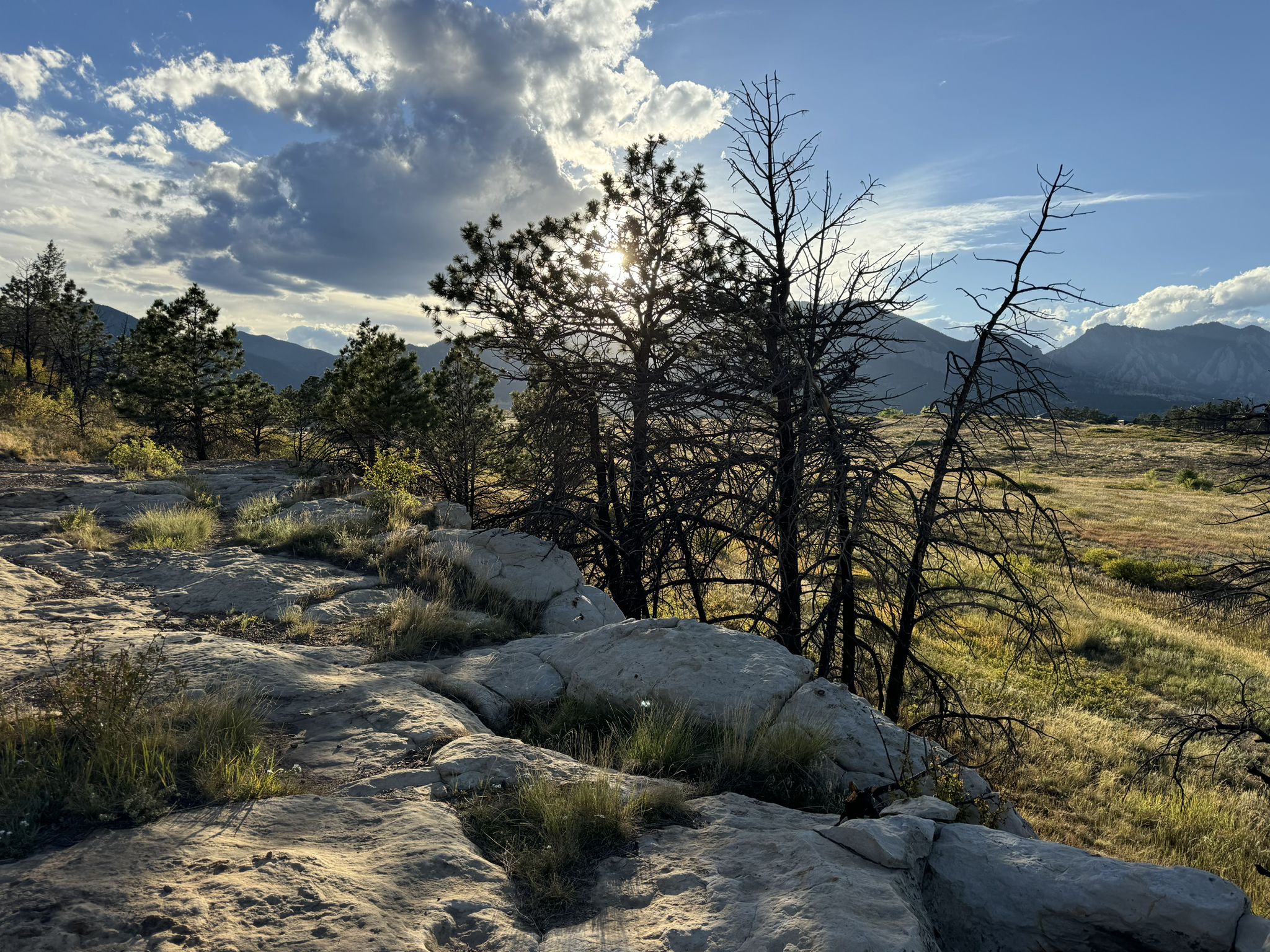 Sun shines through trees on a rocky path with mountains in background. - The Dirty Bismark loop from Bobolink Trailhead