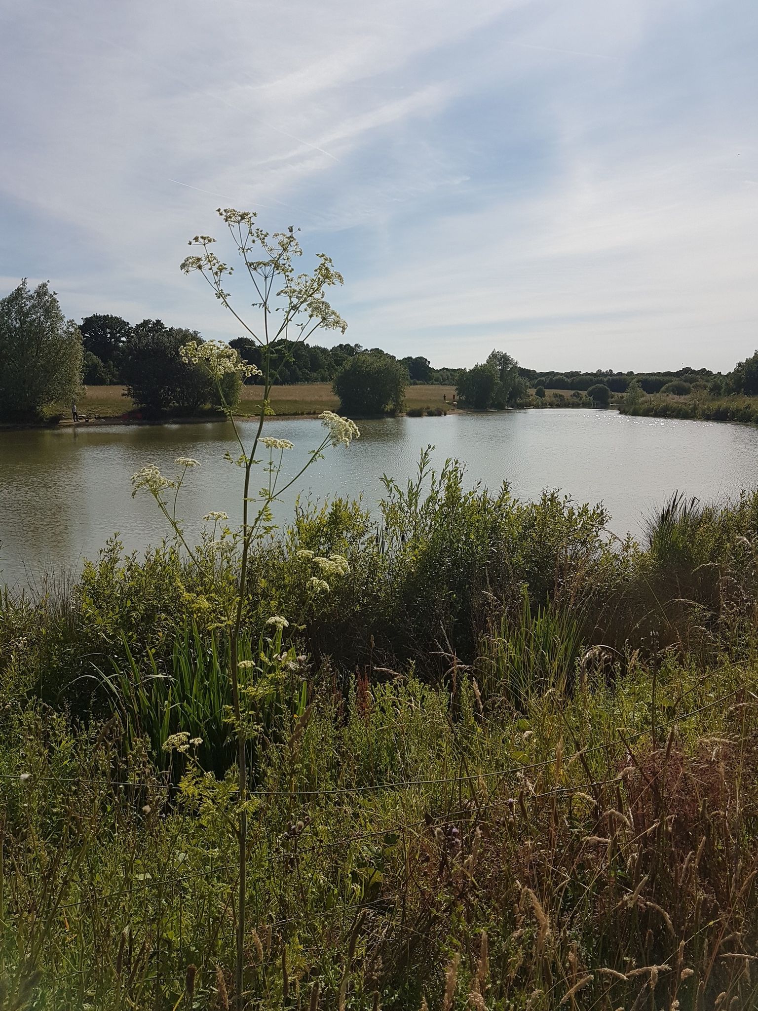 cherry orchard lake