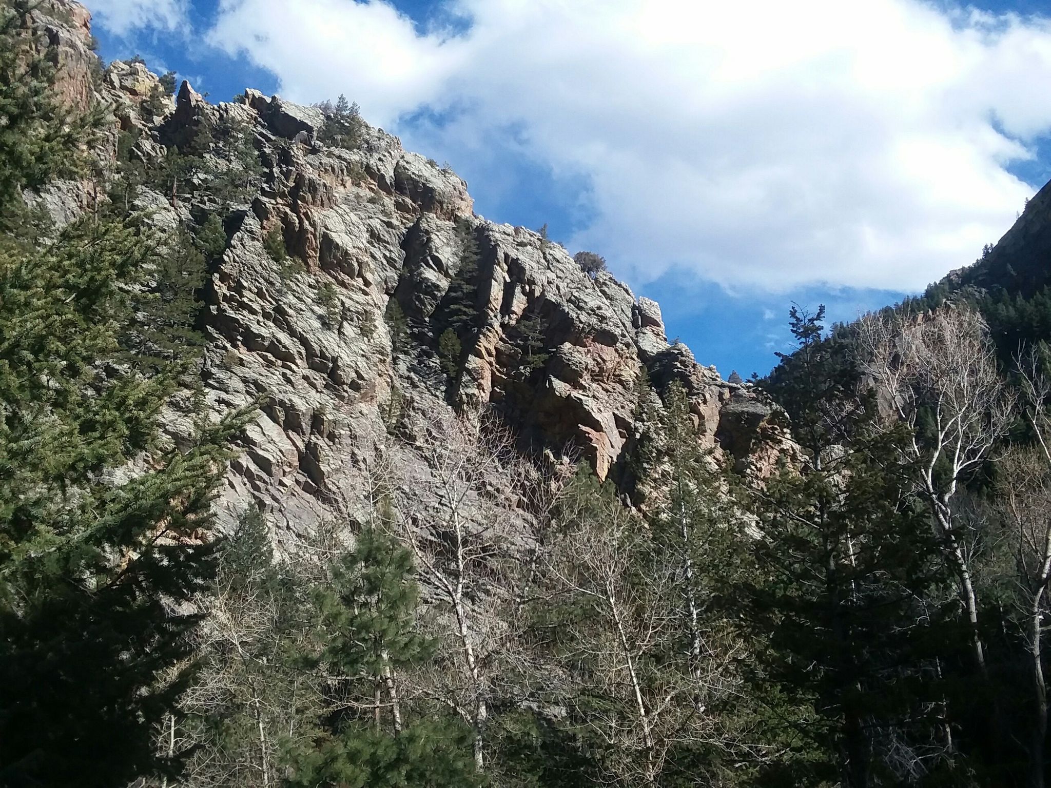 Massive rocky cliff face with pine trees below, under a cloudy blue sky. - View of the Mountain Landscape – View of Eldorado Canyon loop from Eldorado Mountain