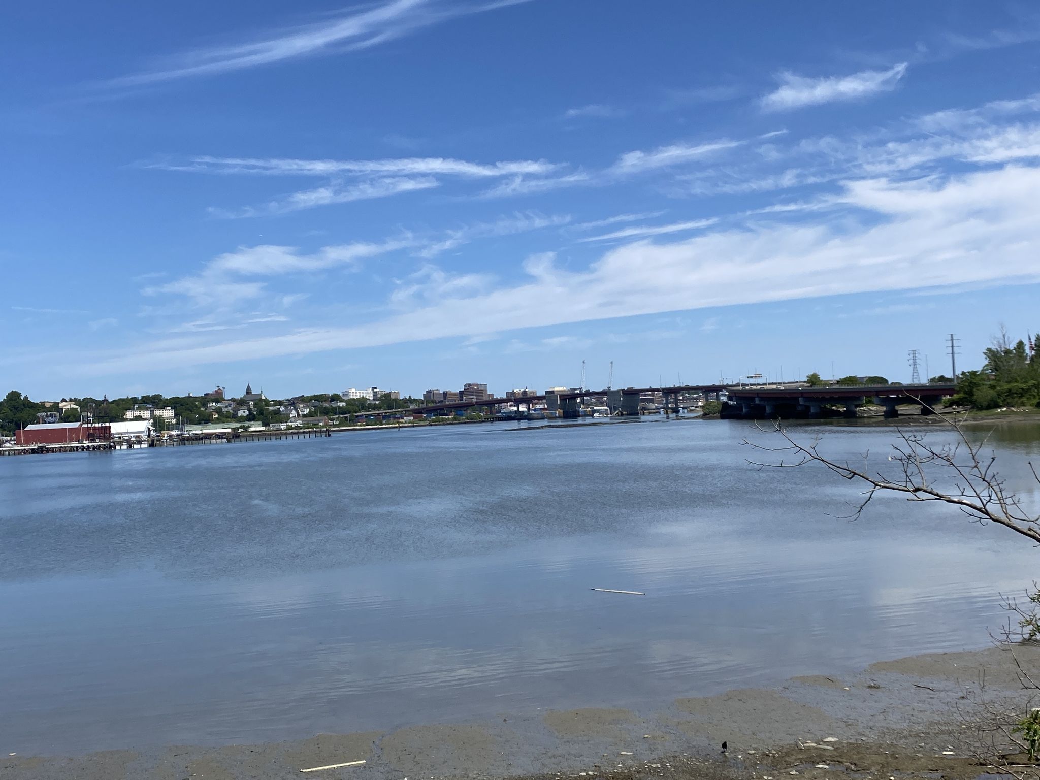 Wide water body with distant city and bridge under a bright blue sky. - South Portland Greenbelt Walkway