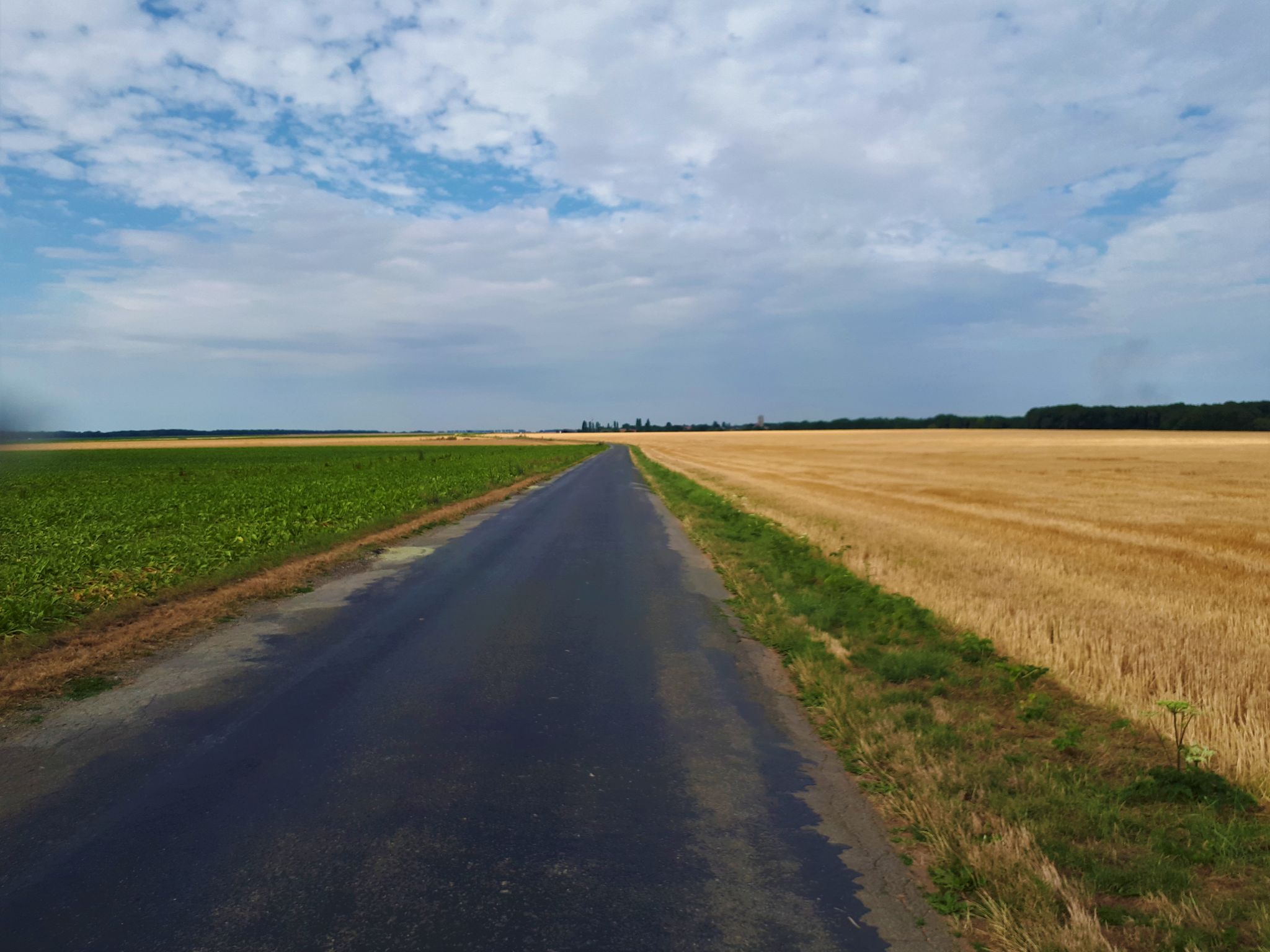 Petite route de campagne très calme