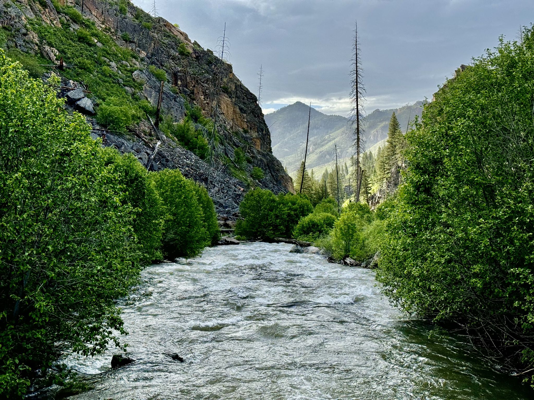 Rushing river flowing through a rocky canyon with green trees under a cloudy sky. - Passage Falls Trail
