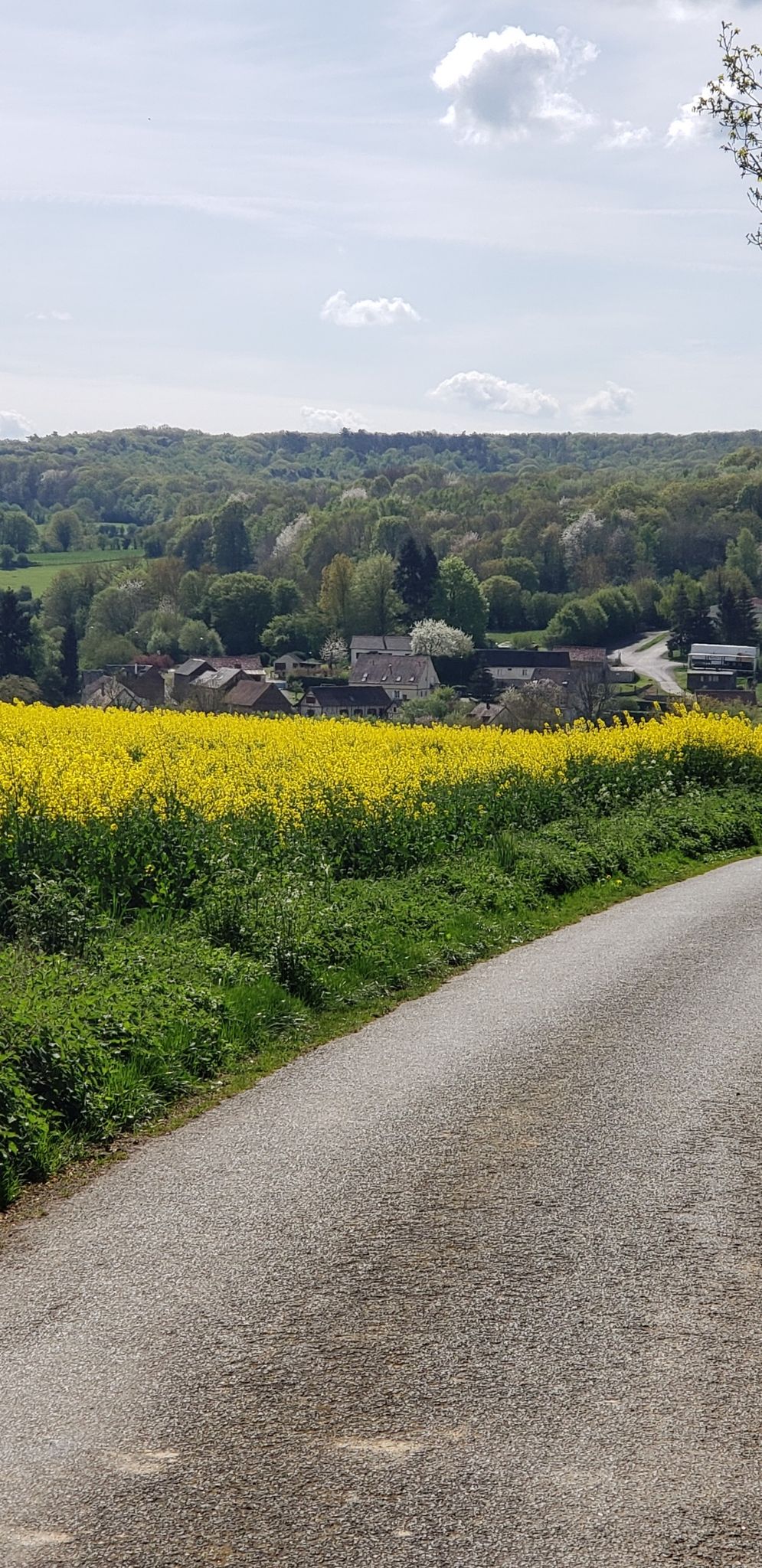 Beau point de vue