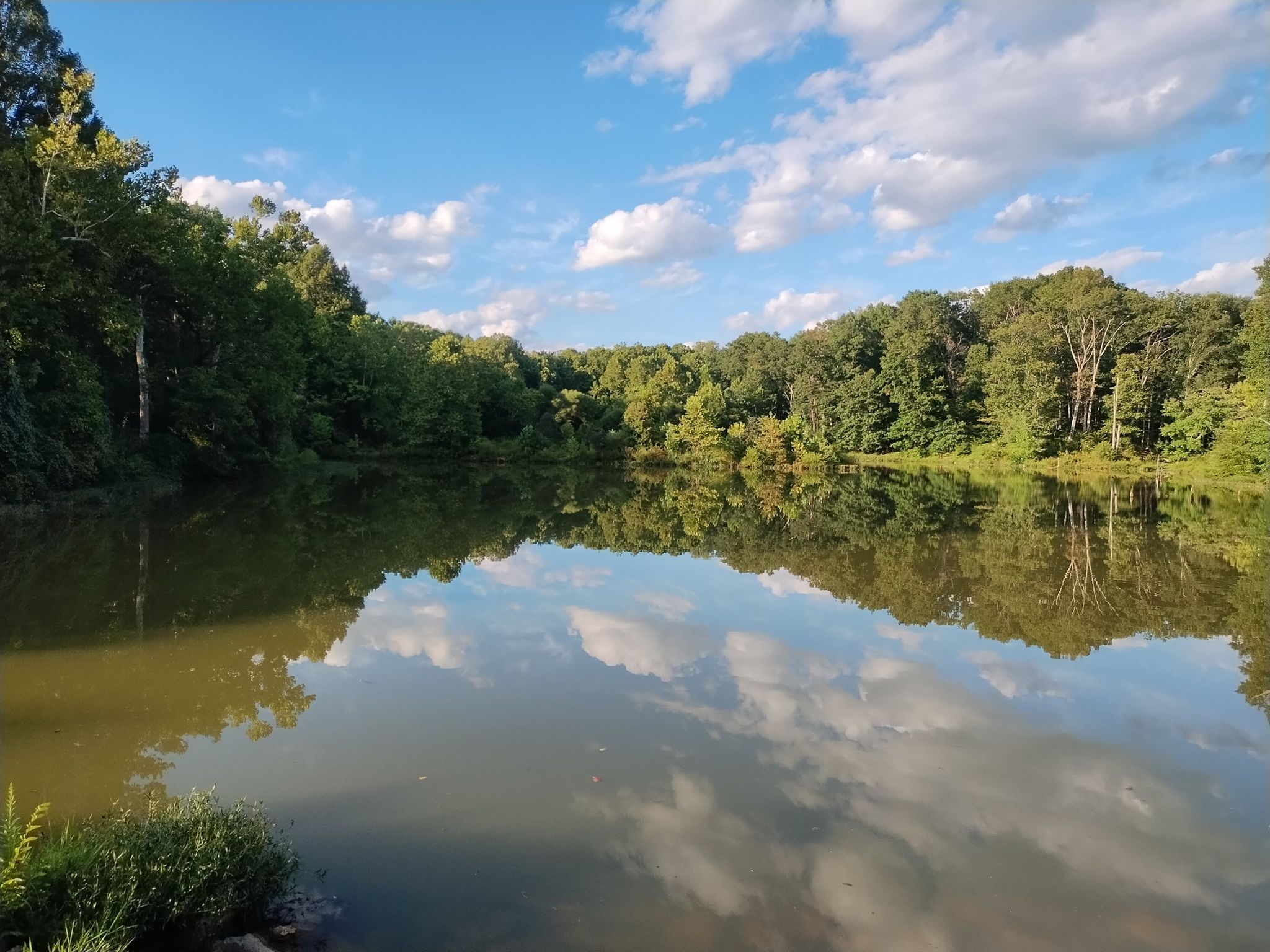 Calm lake reflecting green trees and cloudy blue sky on a sunny day. - Black Hill Regional Park – Little Seneca Lake loop from Little Seneca Lake
