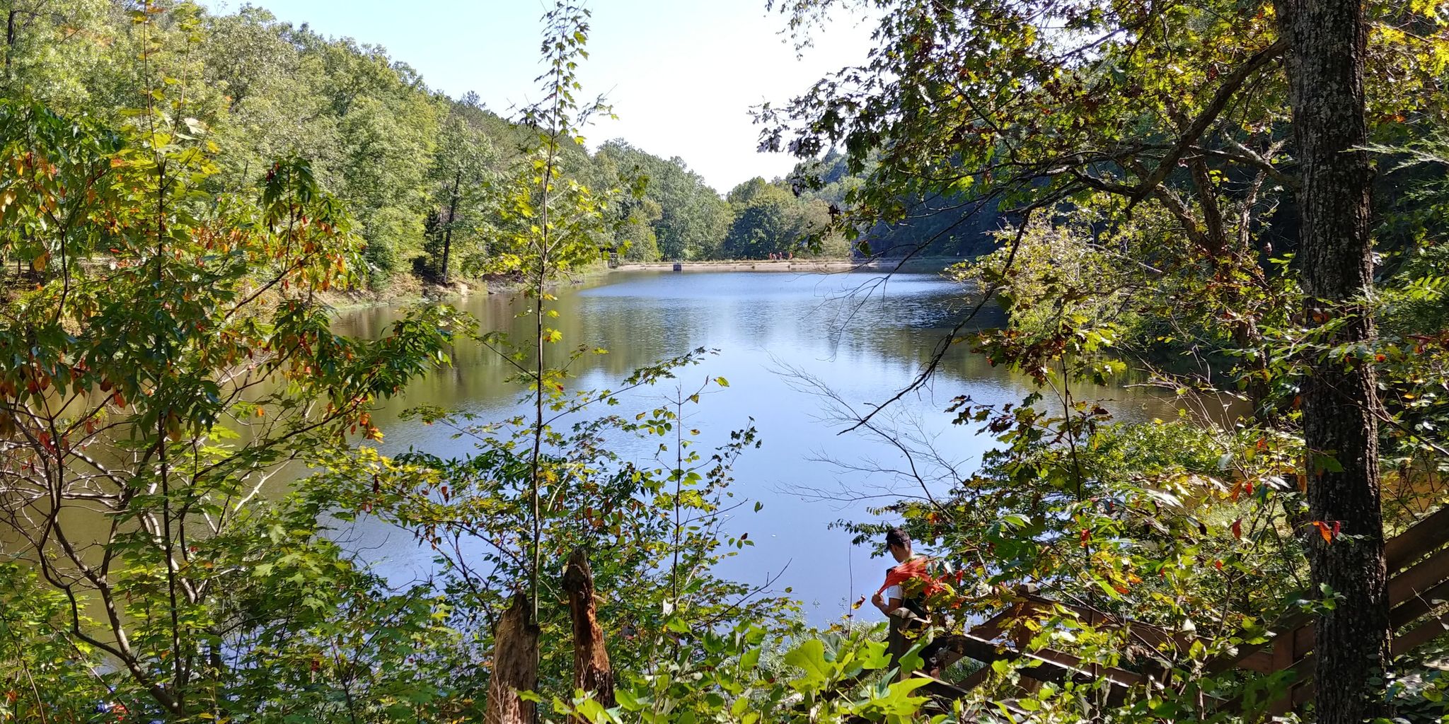 Sunny view of a calm lake surrounded by lush green trees. - Strahl Lake Trail