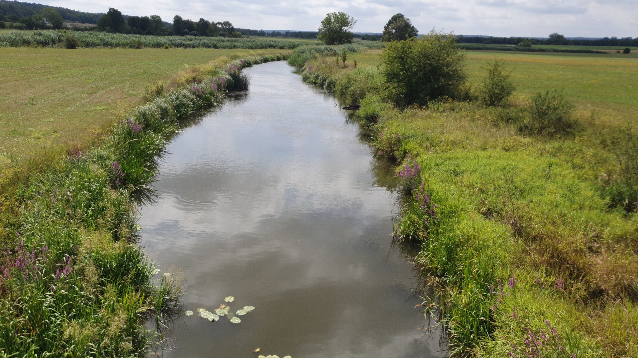 Altmühl