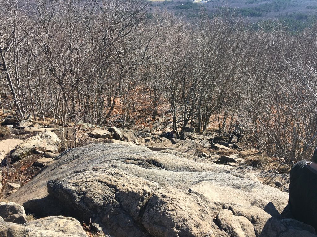 Rocky, steep slope descending into a forest of bare trees. - Monadnock Mountain via Birchtoft to Hinkley Loop