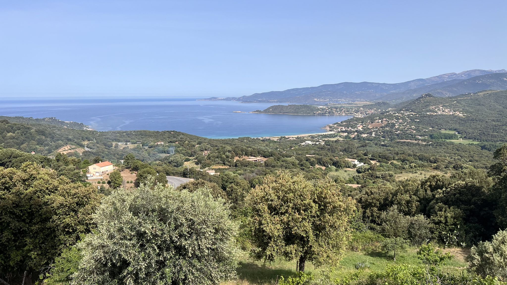 Blick in die Bucht von Tiuccia/Calcatoggio