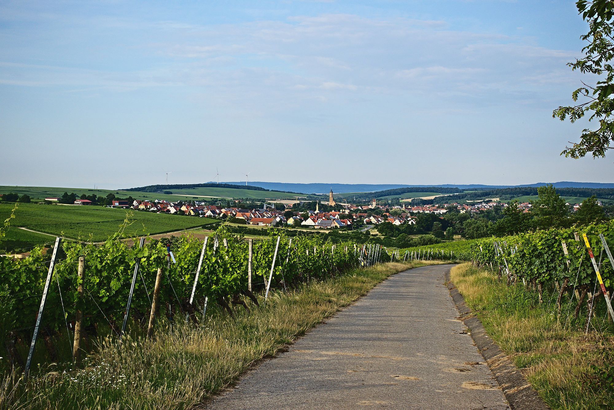 Volkach voraus