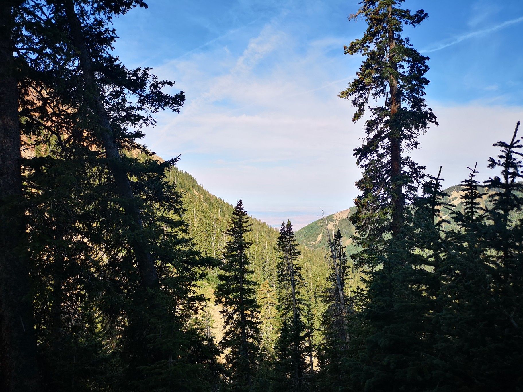 Tall pine trees frame a view of a lush green mountain valley. - Lake Oowah – Climb to Burro Pass loop from Lake Oowah Dam