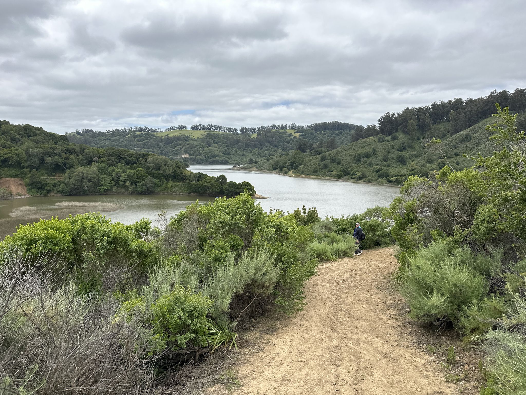 A dirt path overlooking a lake and hills, with a person walking. - Lake Chabot Marina – Honker Bay Trail loop from Lake Chabot - Main Entrance