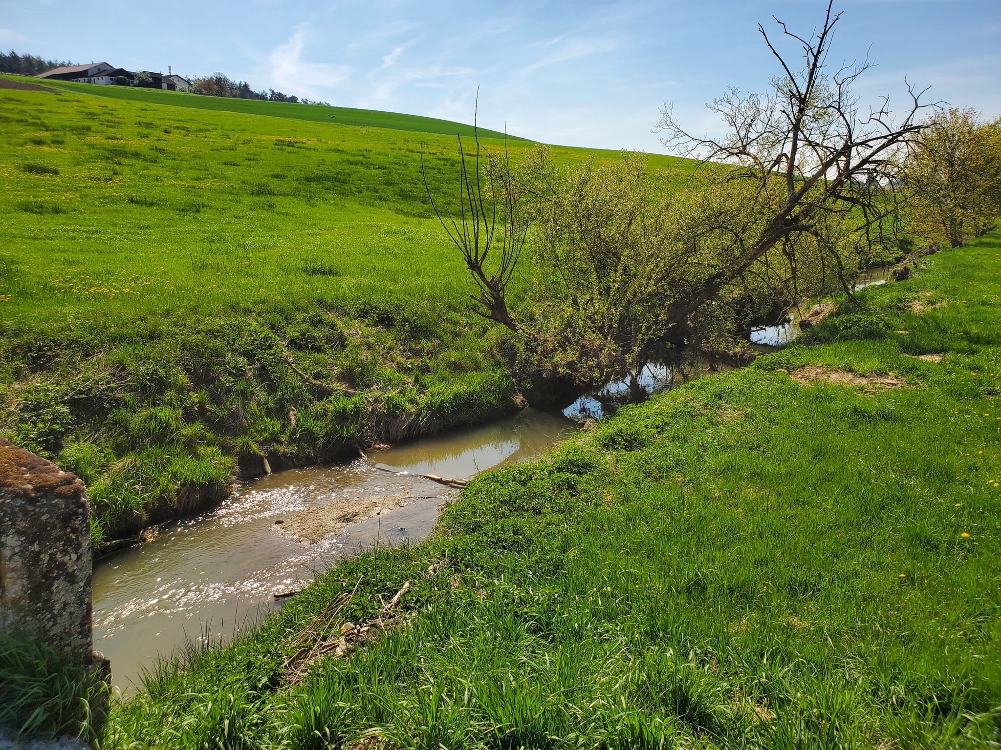 Über die naturbelassene Gera