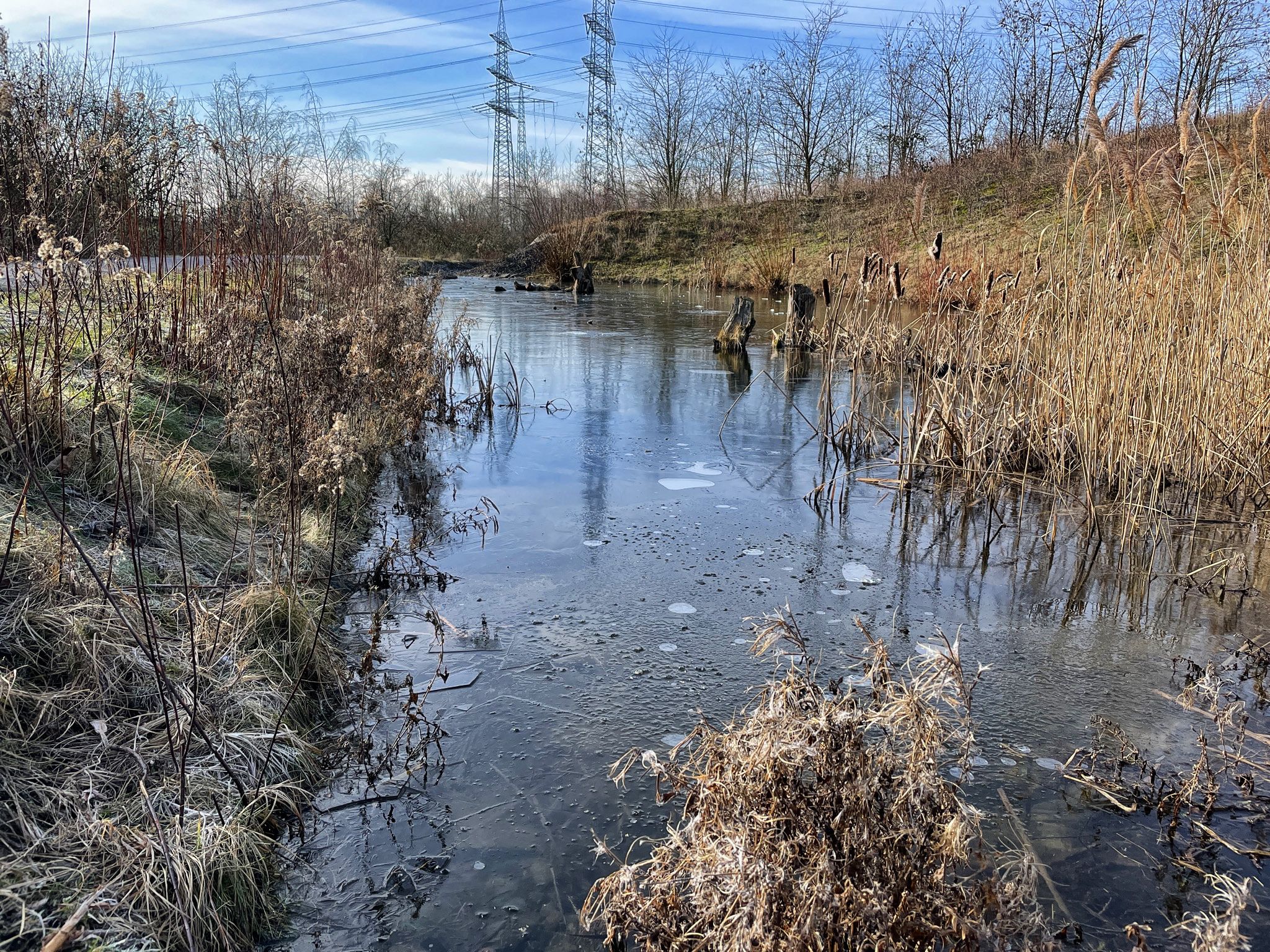 Naturtümpel auf der ehemaligen Bergehalde, heute schön renaturiert