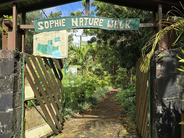 Sophie nature walk