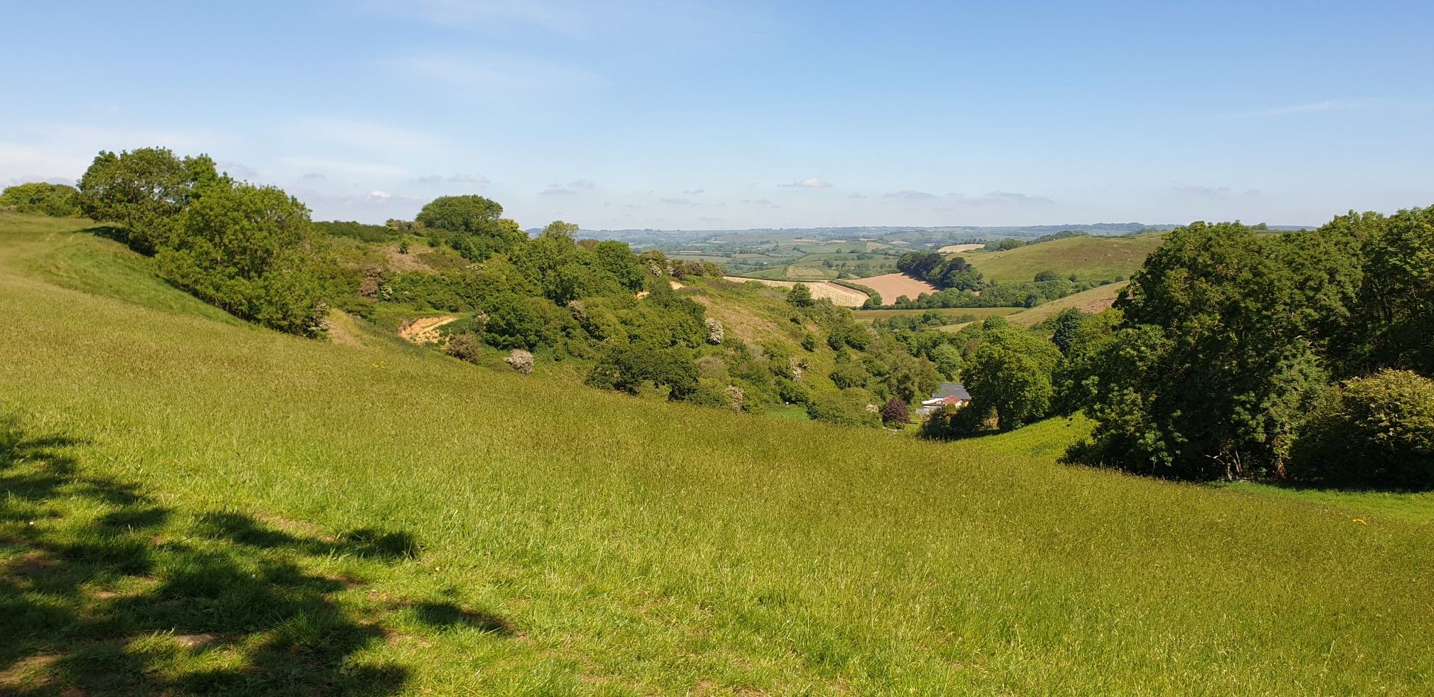 Footpath near Shipton Gorge, looking towards Grove Lane