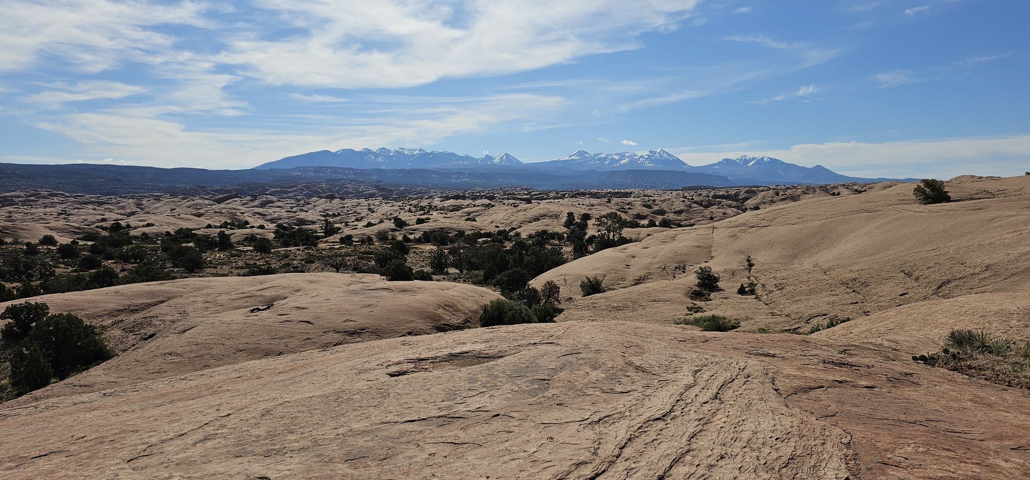 Vast desert landscape with distant snow-capped mountains under a blue sky. - Slickrock – Best of Moab MTB Trails