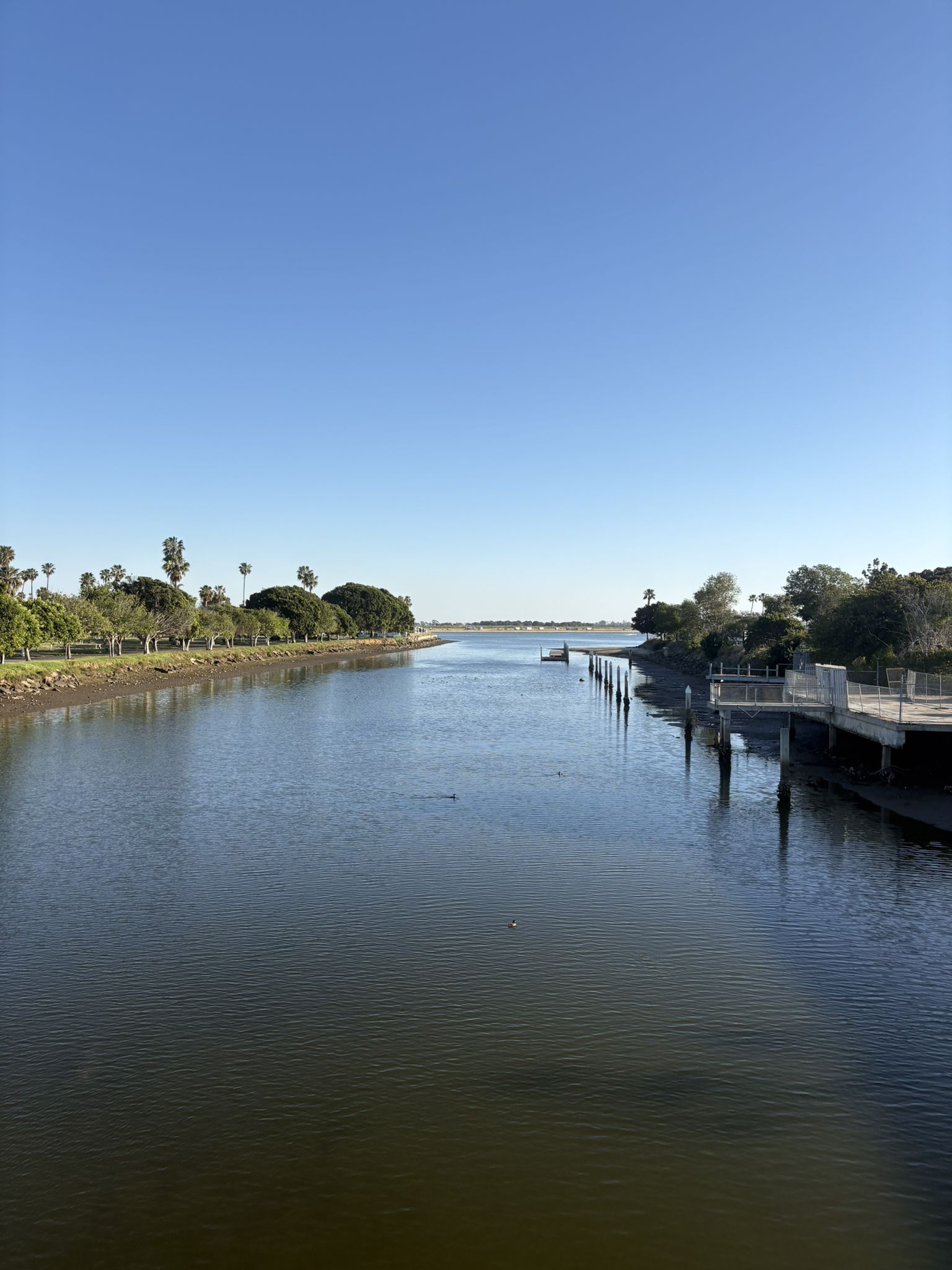 Sunny view of a calm river channel lined with lush green trees. - La Jolla loop
