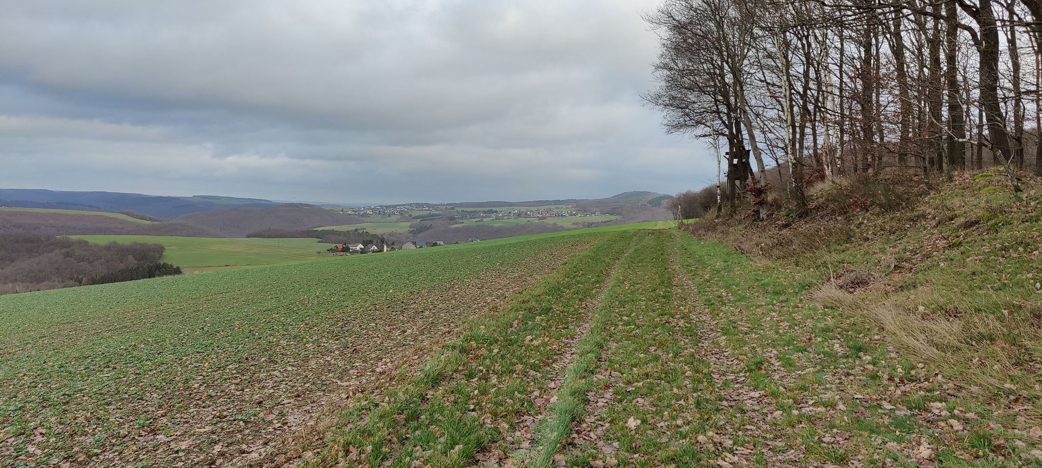 mit Regenwasser vollgesaugter Wiesenweg erhöht den Trainingseffekt
