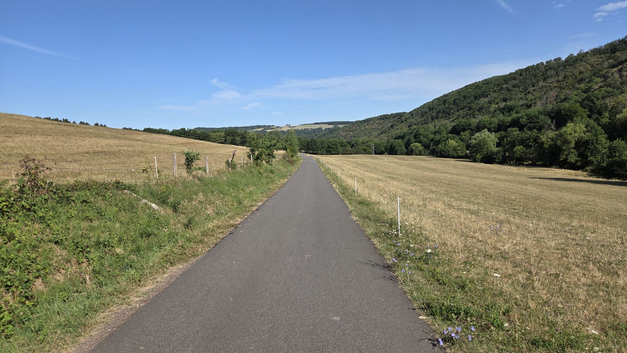 Weg zum Niederreidenbacherhof