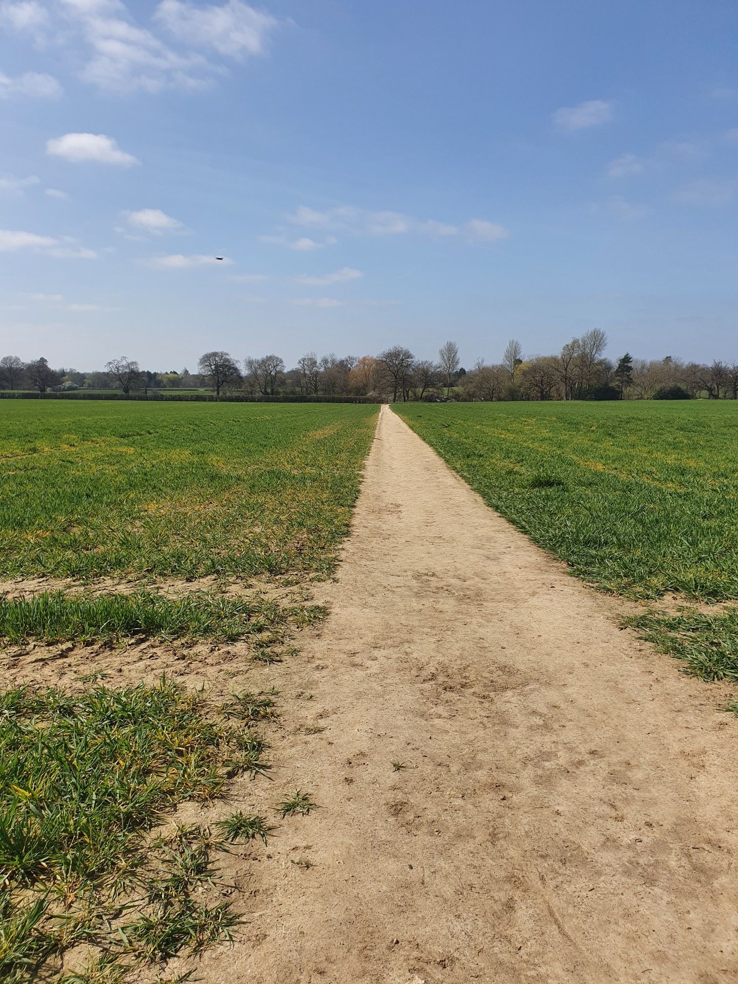 nice path from lonesome lqne