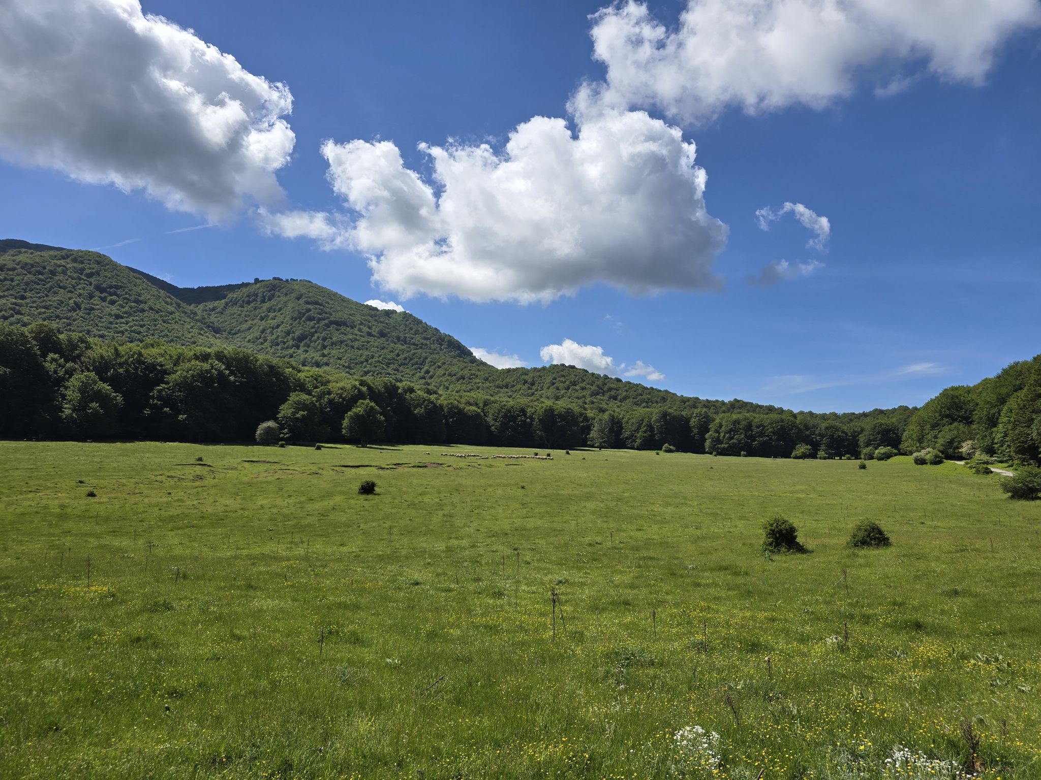 partenza