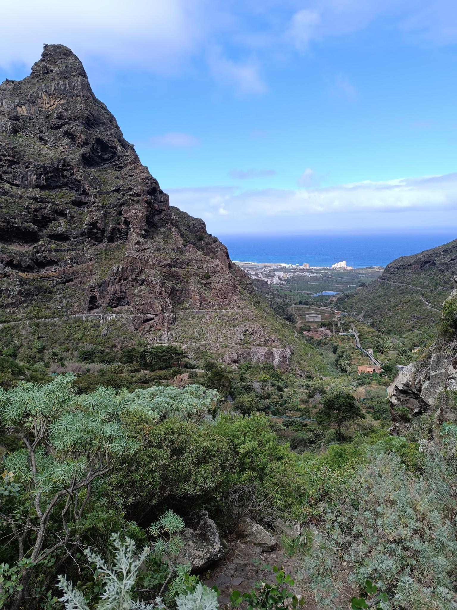 Cosas que hacer en El Norte De Tenerife