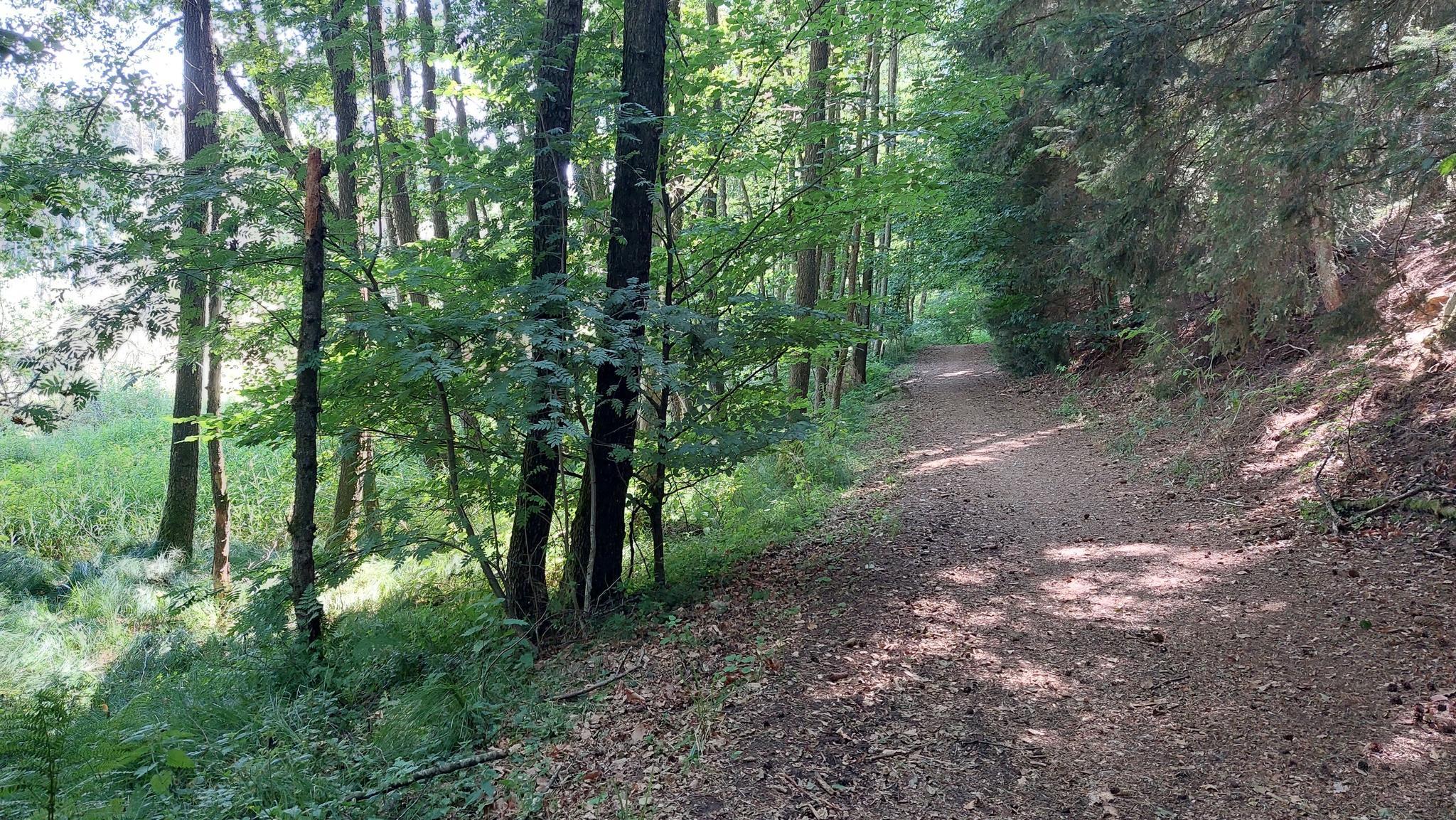 Things to Do around Davis - Komoot