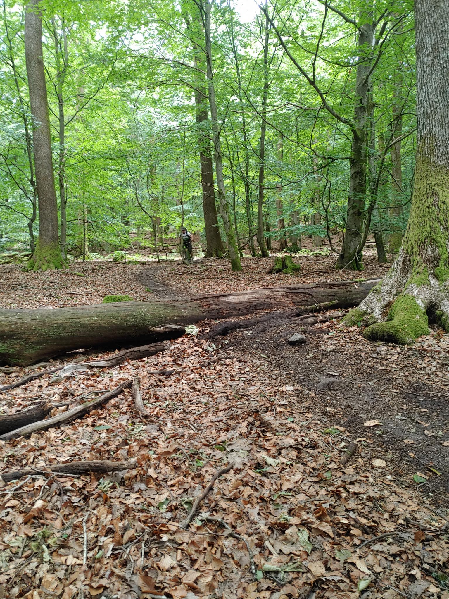 Things to Do around Mentone - Komoot