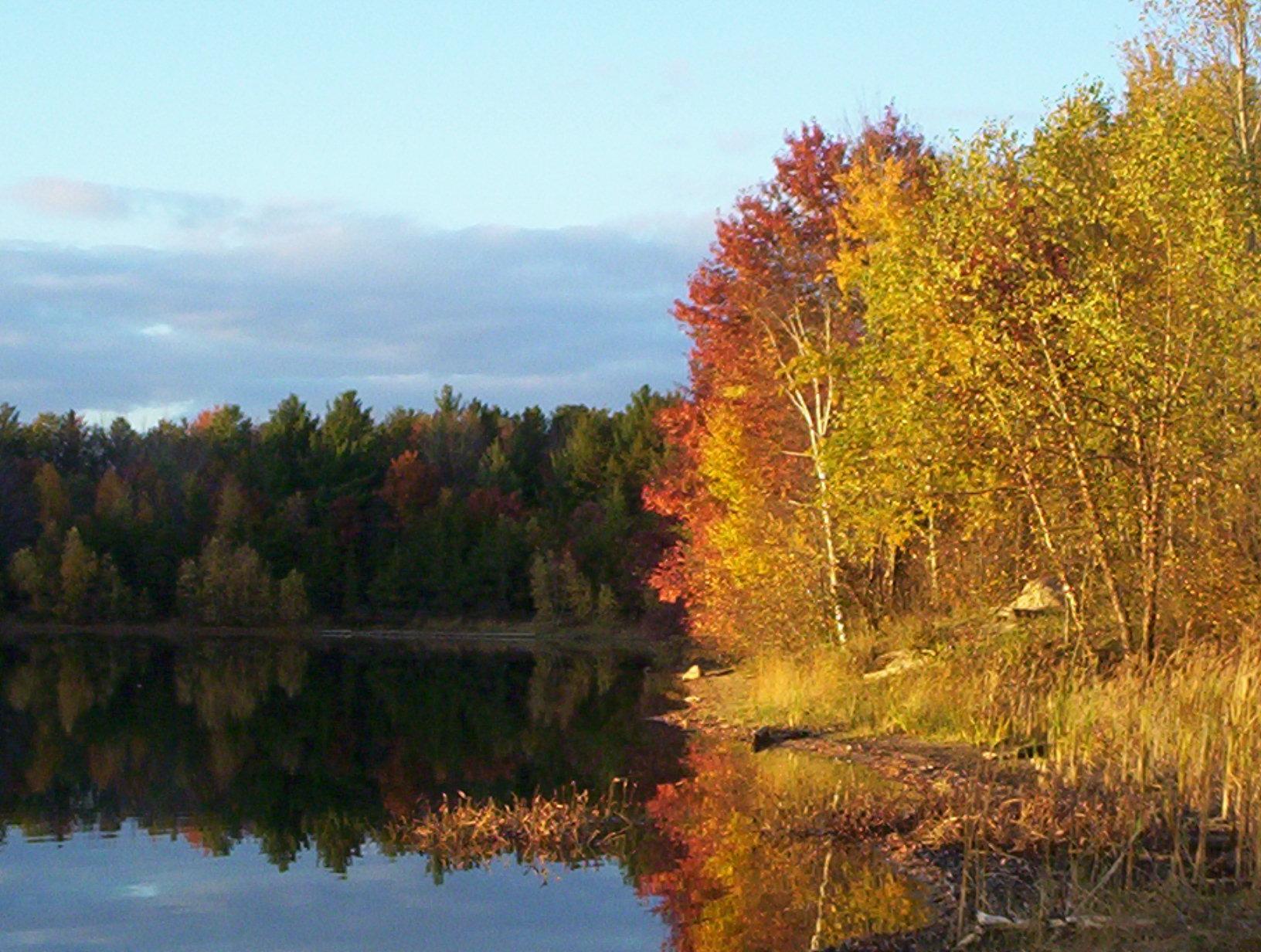 Things to Do around Stevens Point - Komoot