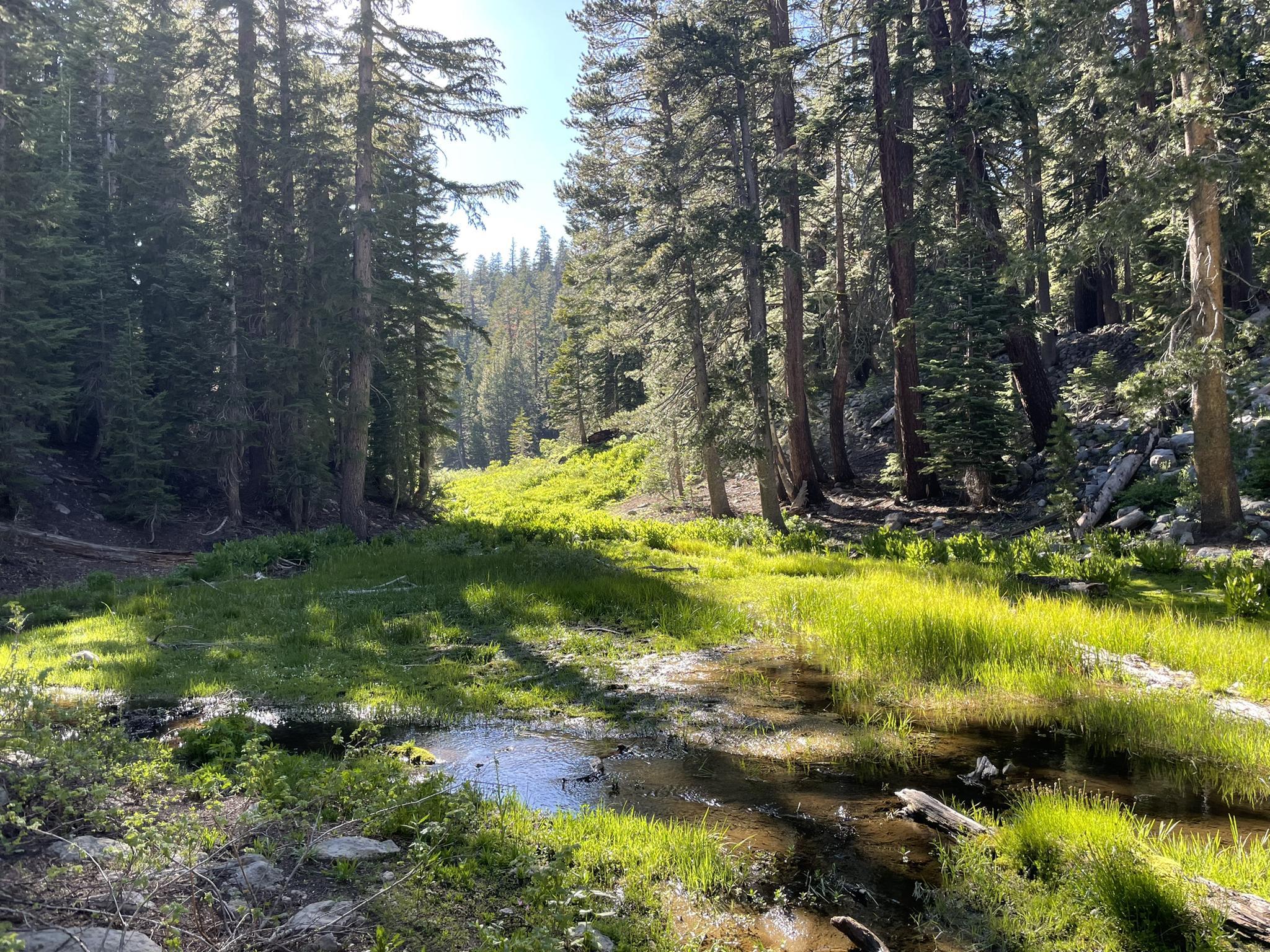 O que fazer in Carson-Iceberg Wilderness