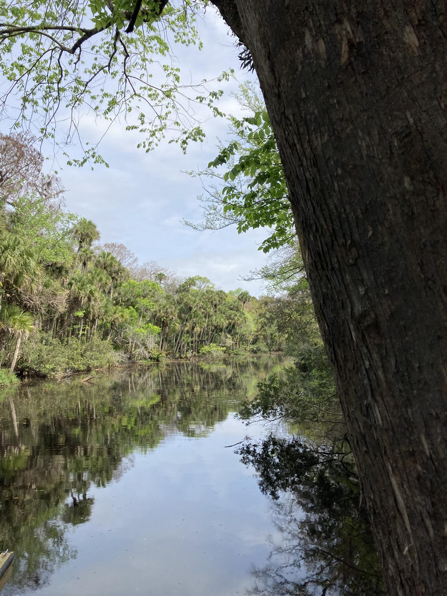 O que fazer em Nooksack Wildlife Area