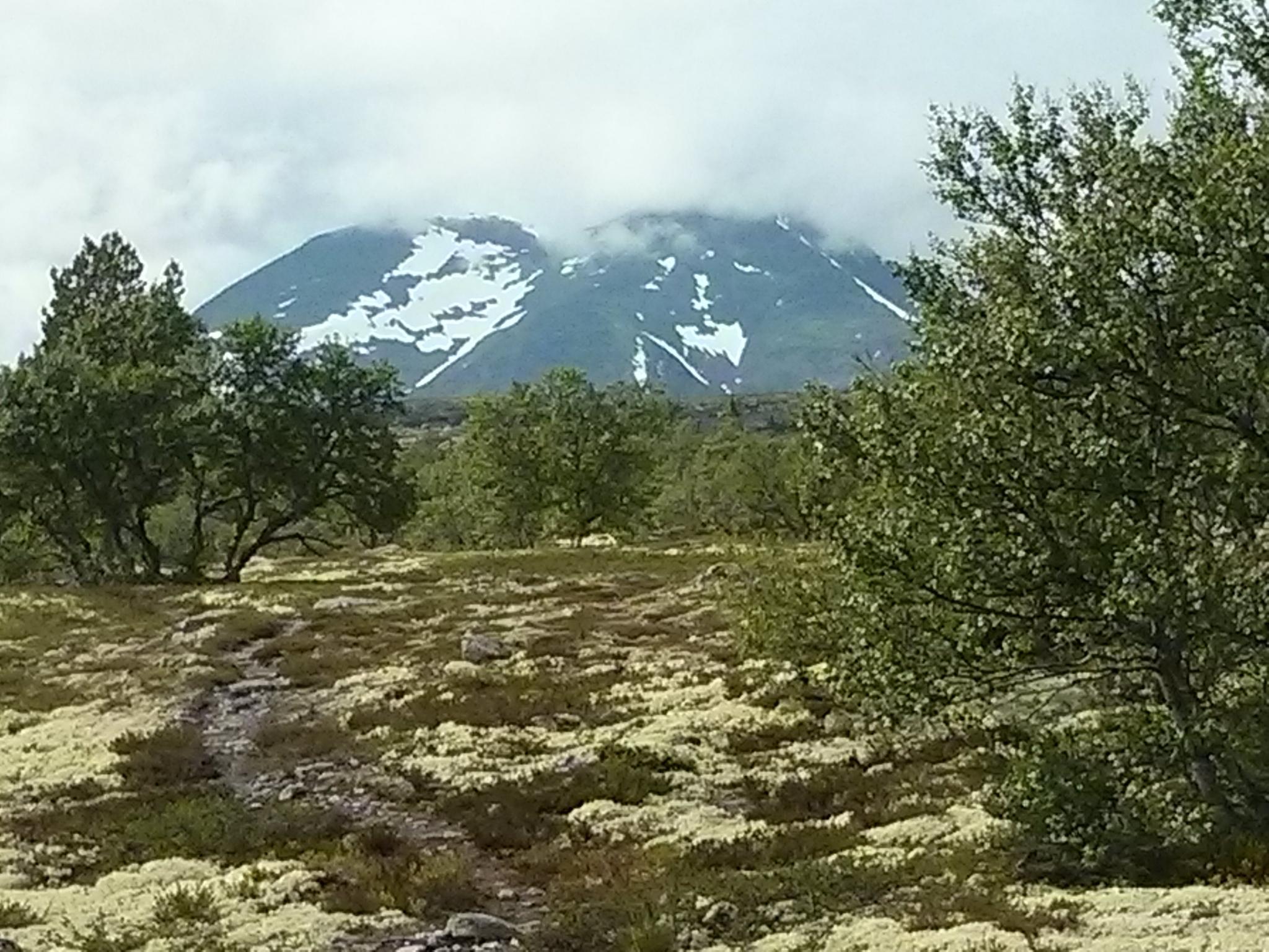 O que fazer em Ripan Naturreservat