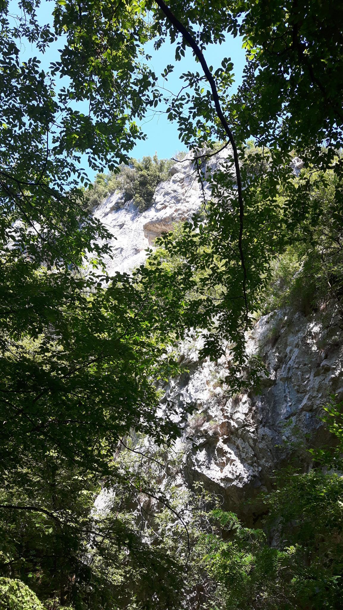 Aktivitäten im Wildruhezone Rubach