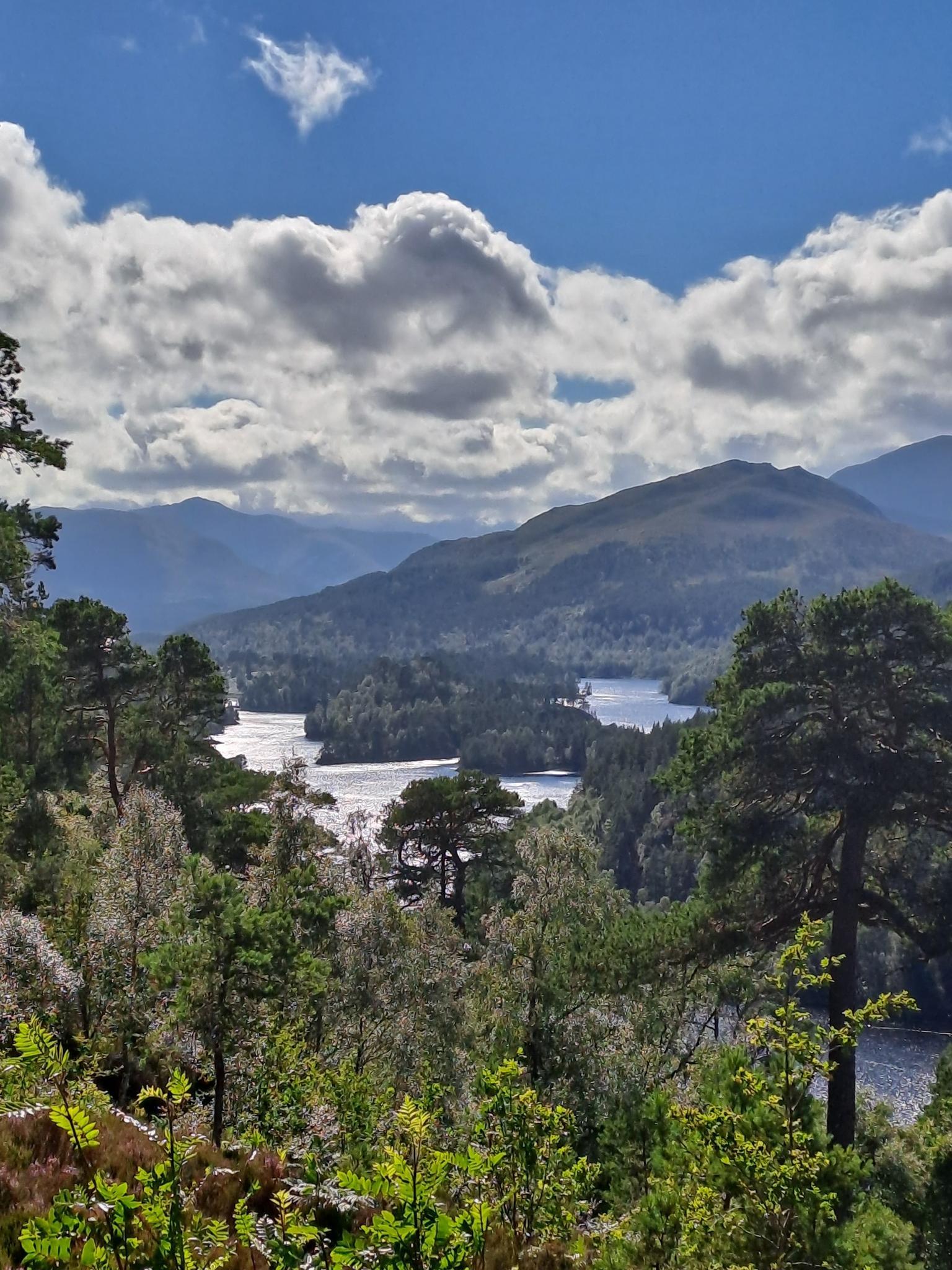 Activités dans Glen Affric National Nature Reserve
