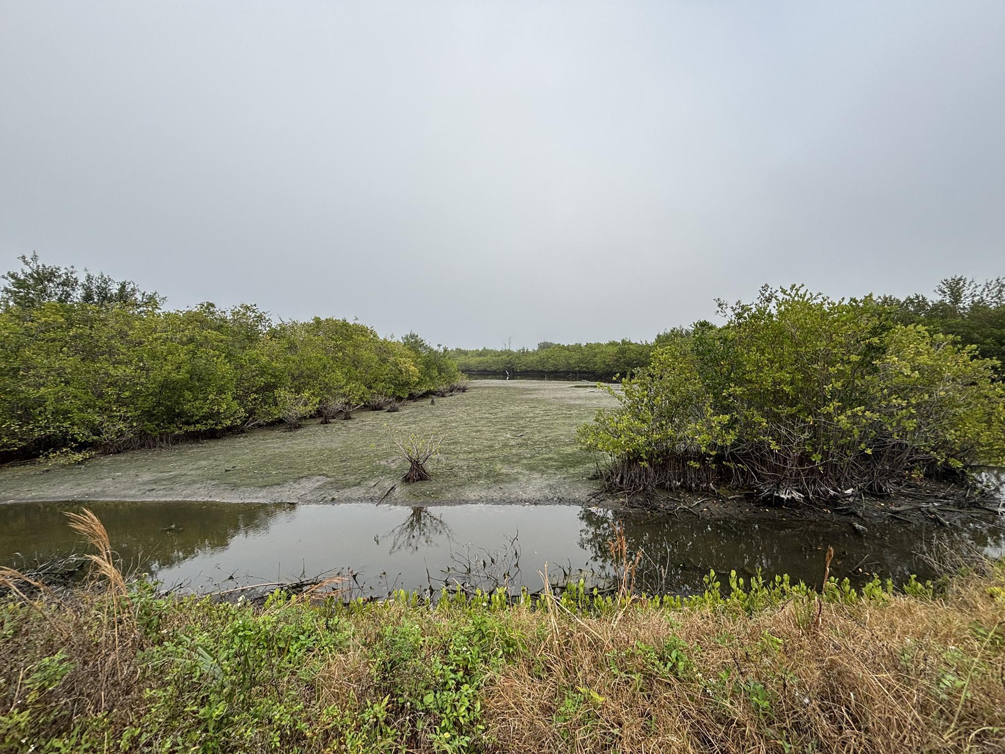 Activités dans Indian River Lagoon Preserve State Park