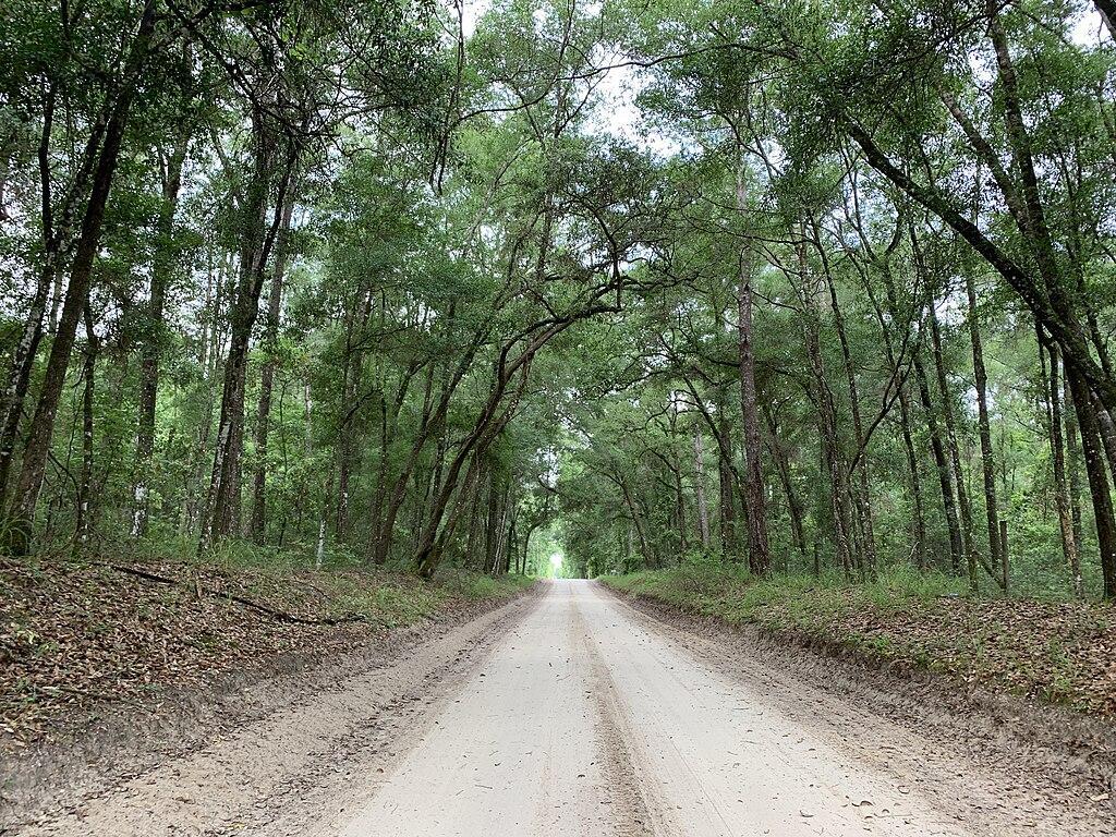 Activités dans River Rise Preserve State Park