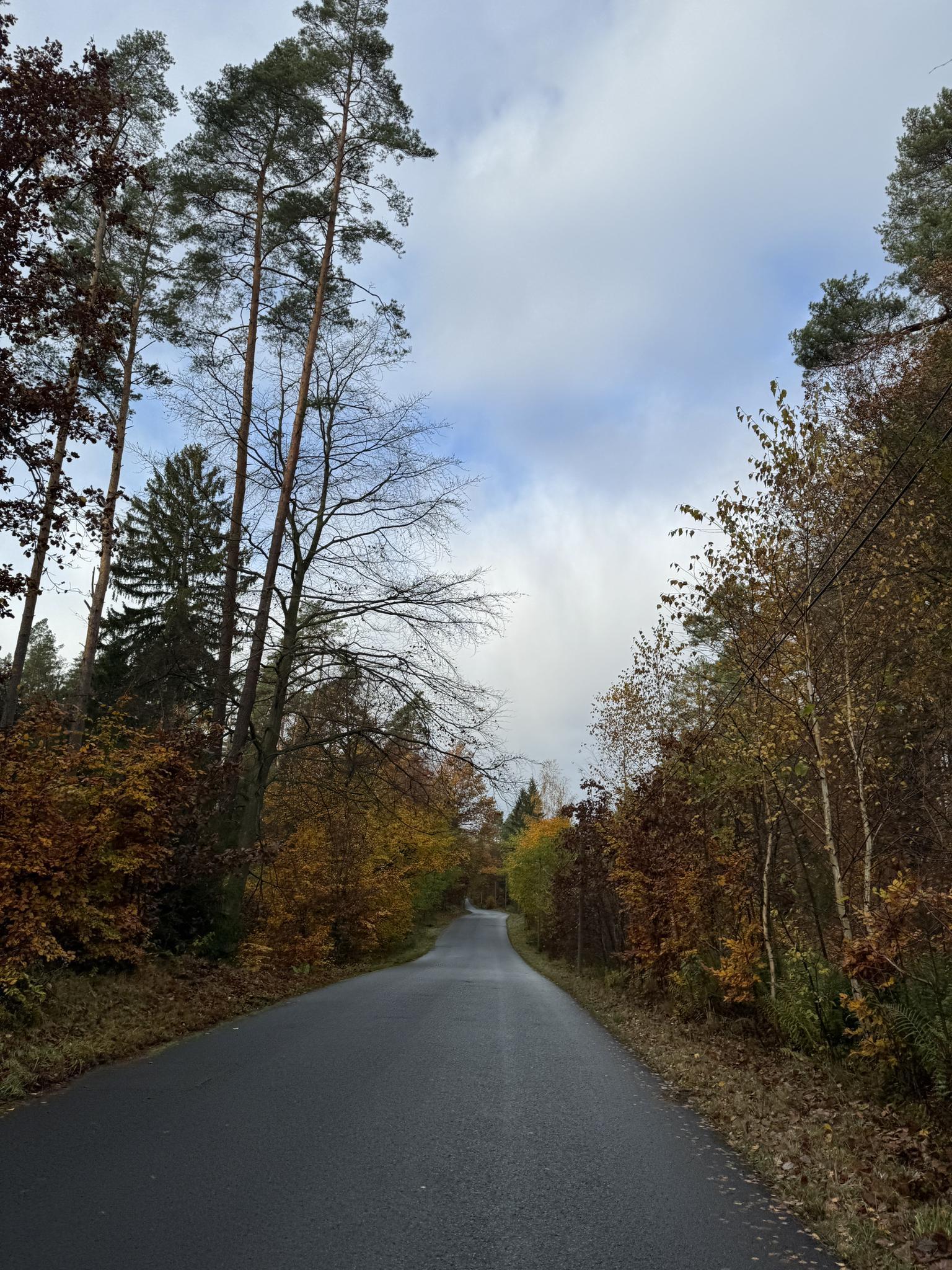 Things to Do around Landquart