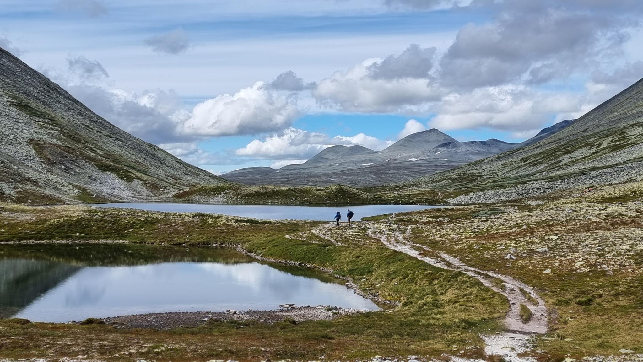 Cosas que hacer en Rondane