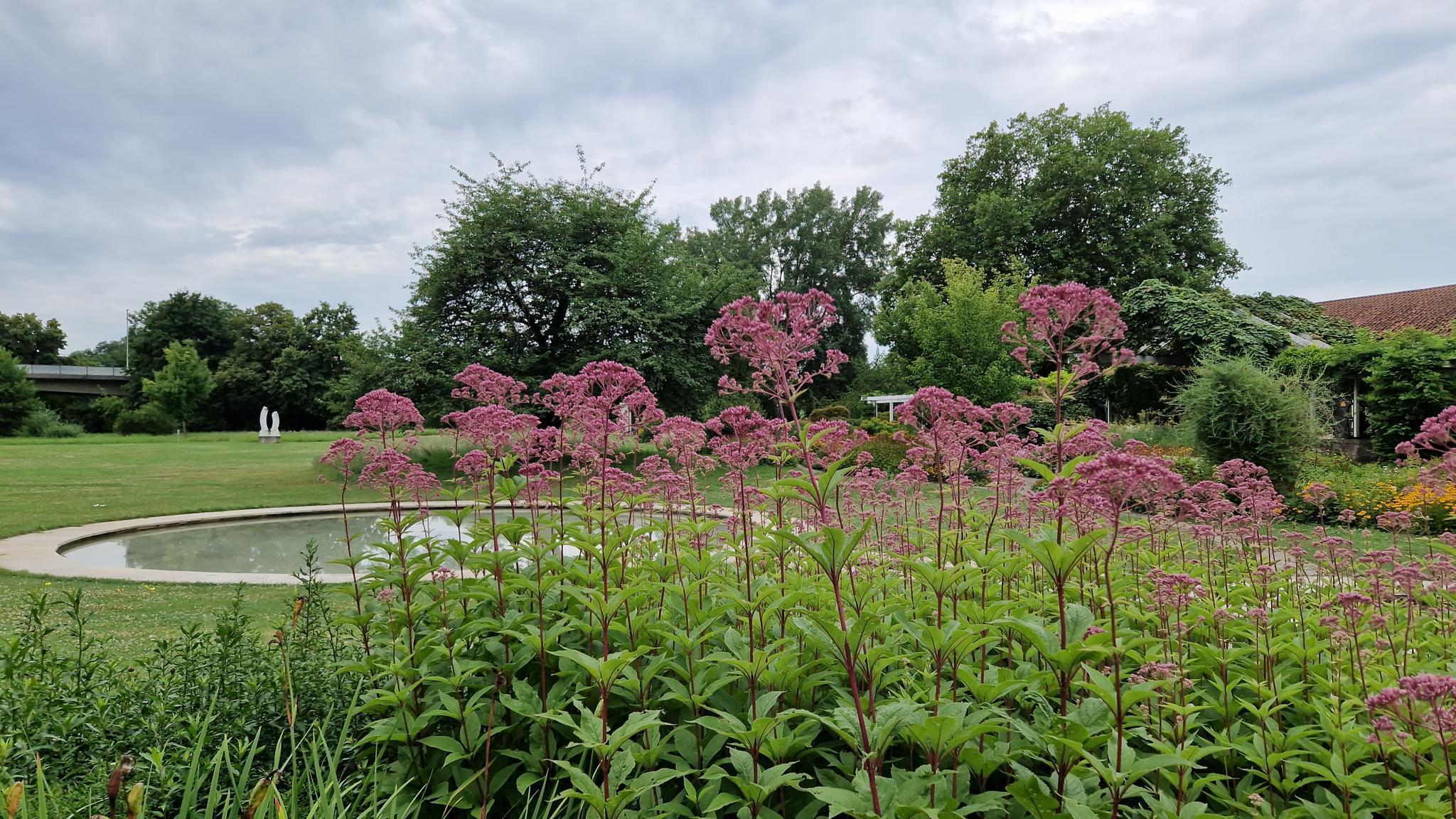 Things to Do around Rodenberg