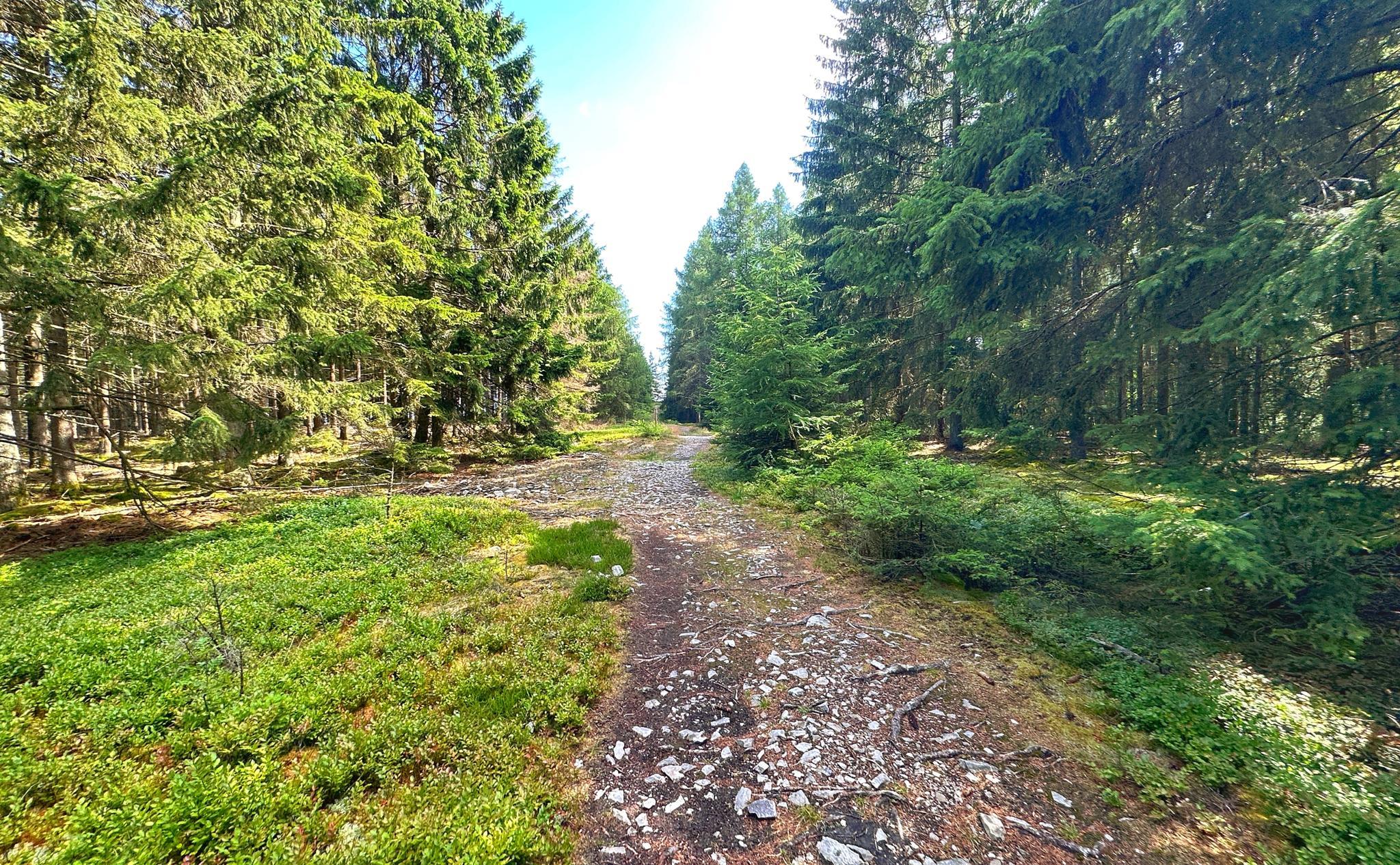 Aktivitäten rund um Rayerschied